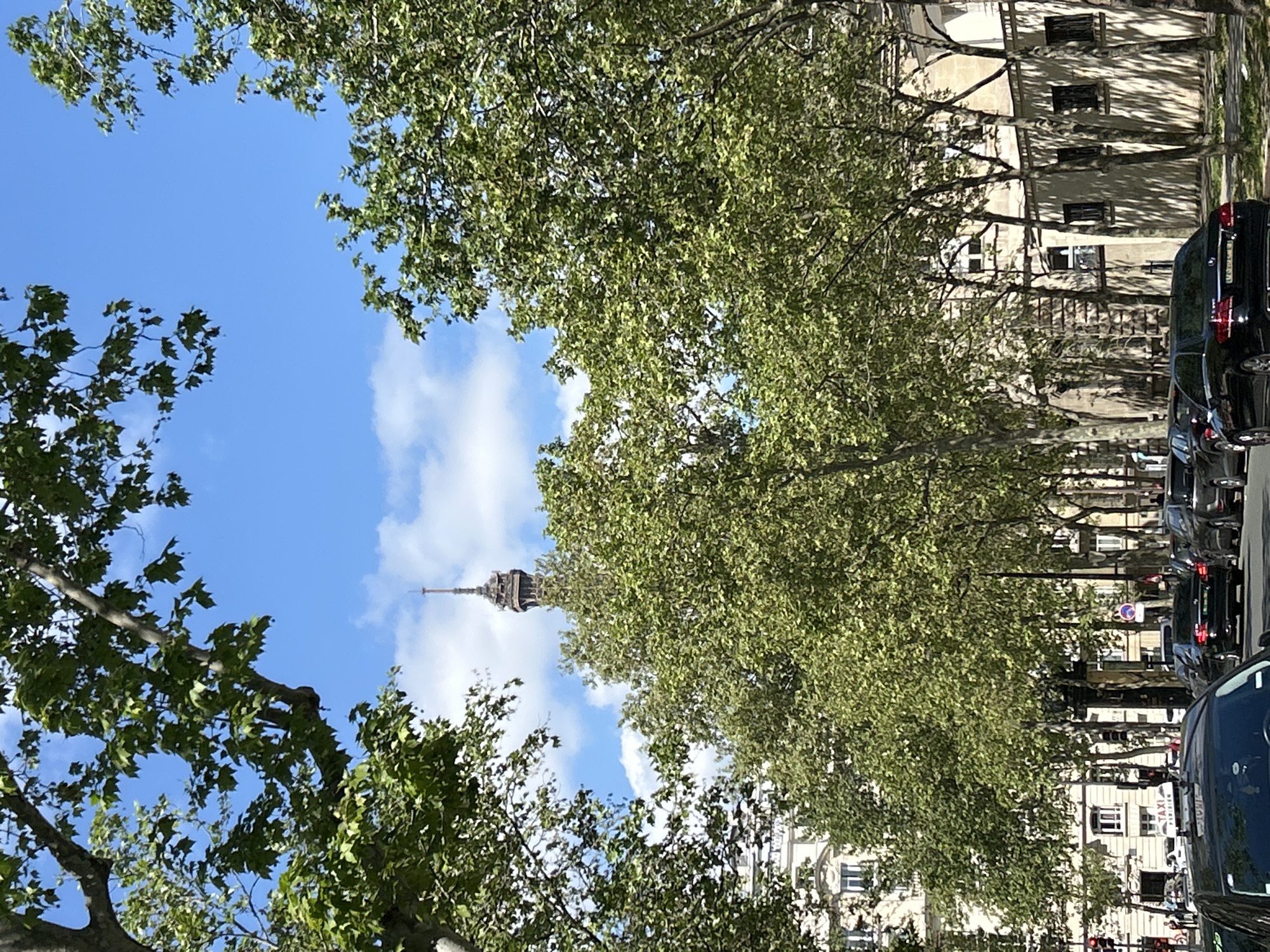 The image presents a vibrant outdoor urban scene captured on a clear, sunny day, looking across an avenue towards a distant landmark, framed by lush trees.
In the mid-left of the frame, a distinctive, tall, dark spired structure rises against a bright blue sky, which is dotted with scattered white, fluffy clouds. This structure, characterized by its intricate ironwork and tapering form, strongly resembles the upper section of the Eiffel Tower, suggesting a location in Paris.
The foreground and much of the middle ground are dominated by the dense, bright green foliage of numerous mature trees, likely lining the avenue. Their leafy canopies fill the top and bottom sections of the image, with branches and leaves framing the view of the sky and the distant spire. Sunlight filters through the leaves, creating varied shades of green and patterns of light and shadow.
To the right of the tree line, a row of light-colored, multi-story buildings with numerous windows and classic architectural details is visible. Shadows from the overhead trees are prominently cast upon their facades.
Along the far right edge of the image, a street is visible, populated with several cars, some parked and others potentially in motion. A black car is prominent in the immediate foreground on the right. On the roof of one of the vehicles, the word "TAXI" is clearly discernible, further indicating an urban setting. A partially obscured blue circular road sign with a red border is also visible on the street.
The bright daylight and clear sky suggest pleasant weather, possibly during late spring or summer. The scene is static, with no people visible or specific events taking place, offering a serene glimpse of a city street.