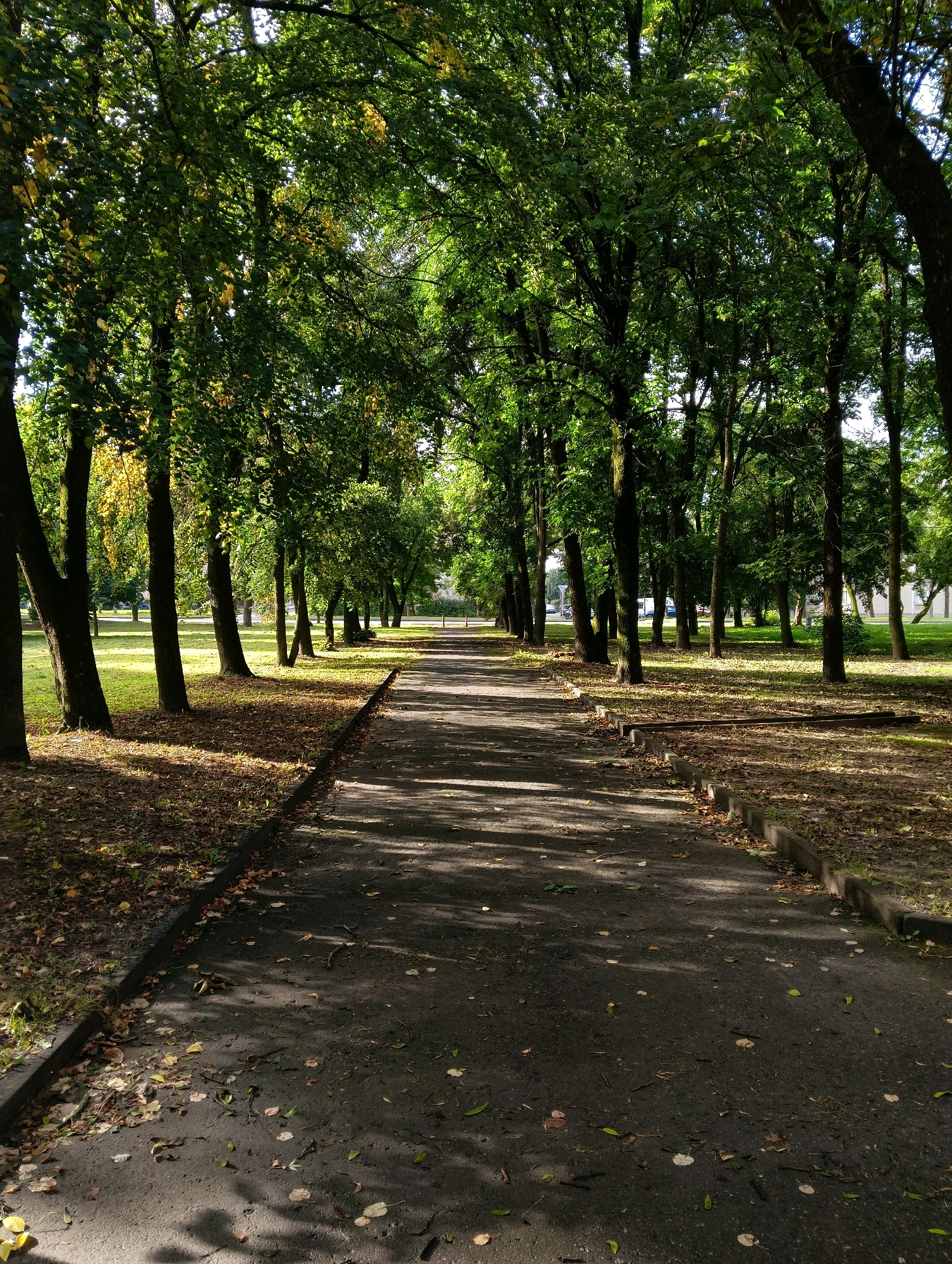 The image depicts a paved pathway in a park, lined with mature trees. The pathway is dark asphalt, with scattered fallen leaves and debris. Sunlight filters through the dense foliage, casting dappled shadows on the ground. The trees are tall with dark bark and green leaves, some showing hints of yellow, suggesting it is autumn. The ground on either side of the path is covered in grass and fallen leaves. In the distance, beyond the treeline, a few buildings are visible, as well as cars parked along a street. The scene appears to be a well-maintained public park. Given the architecture visible in the background and the overall urban park setting, this could be a park within the city of Hrodna, Belarus, known for its green spaces and historical architecture.
