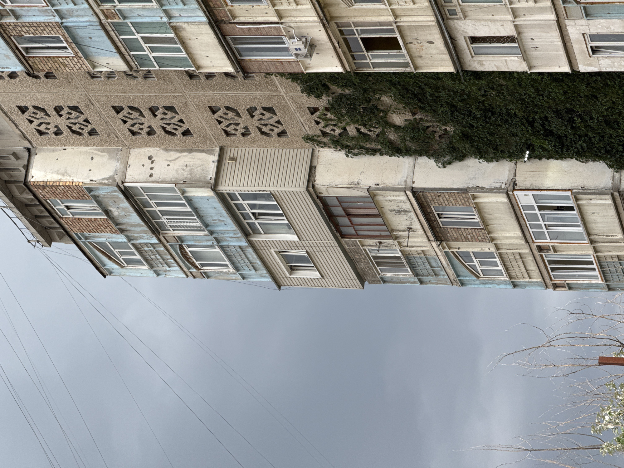 The image depicts a view of the exterior of an aging, multi-story apartment building, oriented vertically. The building's facade is constructed with a combination of concrete panels, some with decorative, geometric cutouts, and sections of lighter colored material. There are numerous windows visible, many with multiple panes and white frames, suggesting a utilitarian design. Some windows appear to have curtains or blinds.
A dense, dark green vine covers a significant portion of the building's upper section, suggesting it has been growing for some time. The building appears worn, with some areas showing signs of damage or decay, such as chipped paint and visible concrete.
Below the building, a gray, overcast sky dominates the frame, with a few faint electrical wires crisscrossing the lower portion of the image. To the far right, the bare branches of a tree are visible against the sky, with a hint of green foliage at its base. The overall impression is one of a residential area, possibly in an urban setting, under a cloudy or stormy sky. No people are visible, and the scene evokes a sense of muted colors and perhaps a slightly melancholic atmosphere due to the overcast weather and the building's state of disrepair. There is no discernible text in the image.