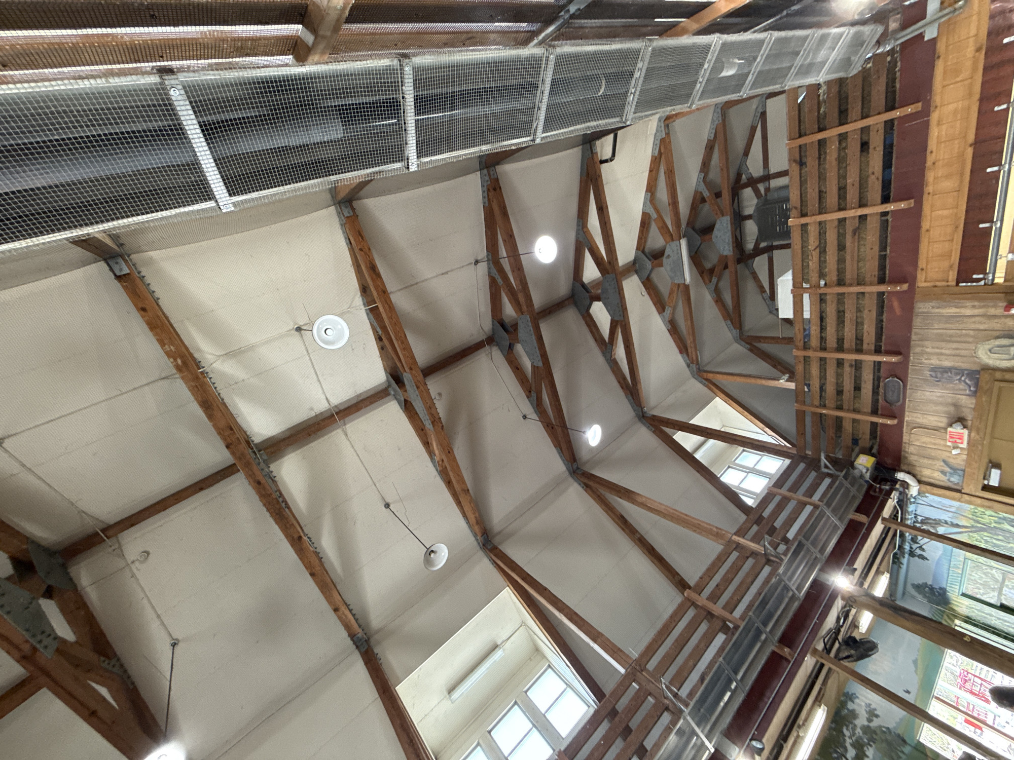 The image shows the interior ceiling of a building, likely a commercial or industrial space. The ceiling features a complex network of wooden beams and supports, with white panels filling the spaces between the beams. Lighting fixtures, including white circular lights, are suspended from the ceiling at various points. Above part of the ceiling is a series of gray wire mesh panels. Adjacent to the ceiling structure, on the right, is an area with a wooden wall, metal support beams, and painted mural. Window is placed at a corner. The building appears to be located in Powell, United States of America.