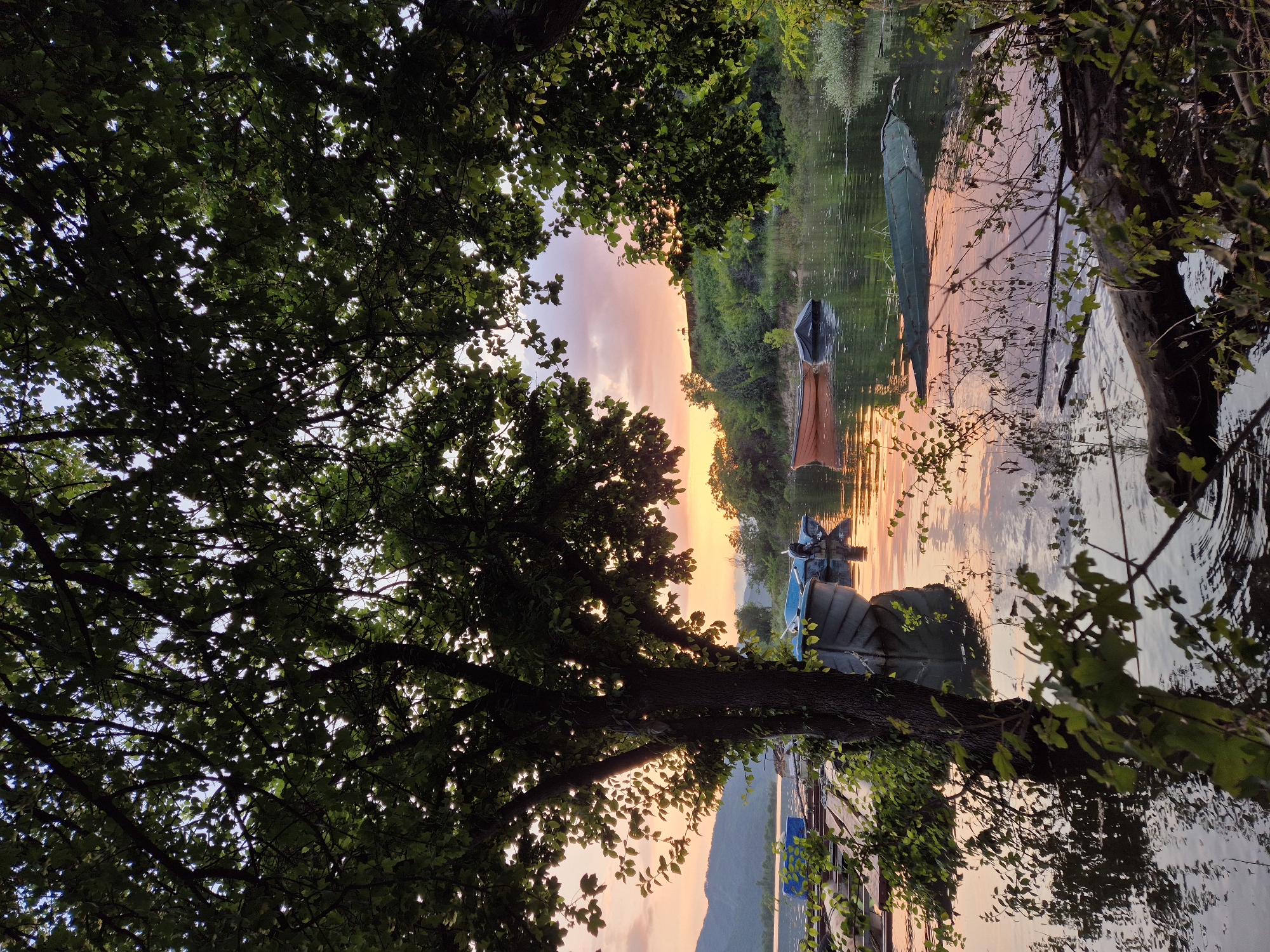 This serene landscape photograph captures a tranquil scene at either sunrise or sunset, viewed from beneath a dense canopy of trees. The foreground is dominated by the dark, silhouetted branches and abundant green leaves of trees, which frame the composition and create a natural archway over the vista.
Beyond the foliage, a calm body of water, likely a lake or river, stretches across the midground. Its surface beautifully reflects the vibrant colors of the sky, which transitions through soft hues of orange, pink, and purple, characteristic of golden hour lighting. Several small boats are visible floating or moored on the water. On the left side, a dark green, slender boat, possibly a canoe or kayak, is present. Towards the right, an orange-brown boat with a dark interior is seen, along with another dark, possibly blue or grey, boat alongside it. The reflections of these boats and the surrounding trees are clearly visible on the water's shimmering surface.
The far bank of the water is lined with lush green trees and vegetation. In the distant background, the gentle outlines of hills or mountains are silhouetted against the colorful sky, completing the peaceful panorama. The scene evokes a strong sense of natural beauty and tranquility. There is no visible text in the image. This idyllic setting is located in Glavatartsi, Bulgaria.