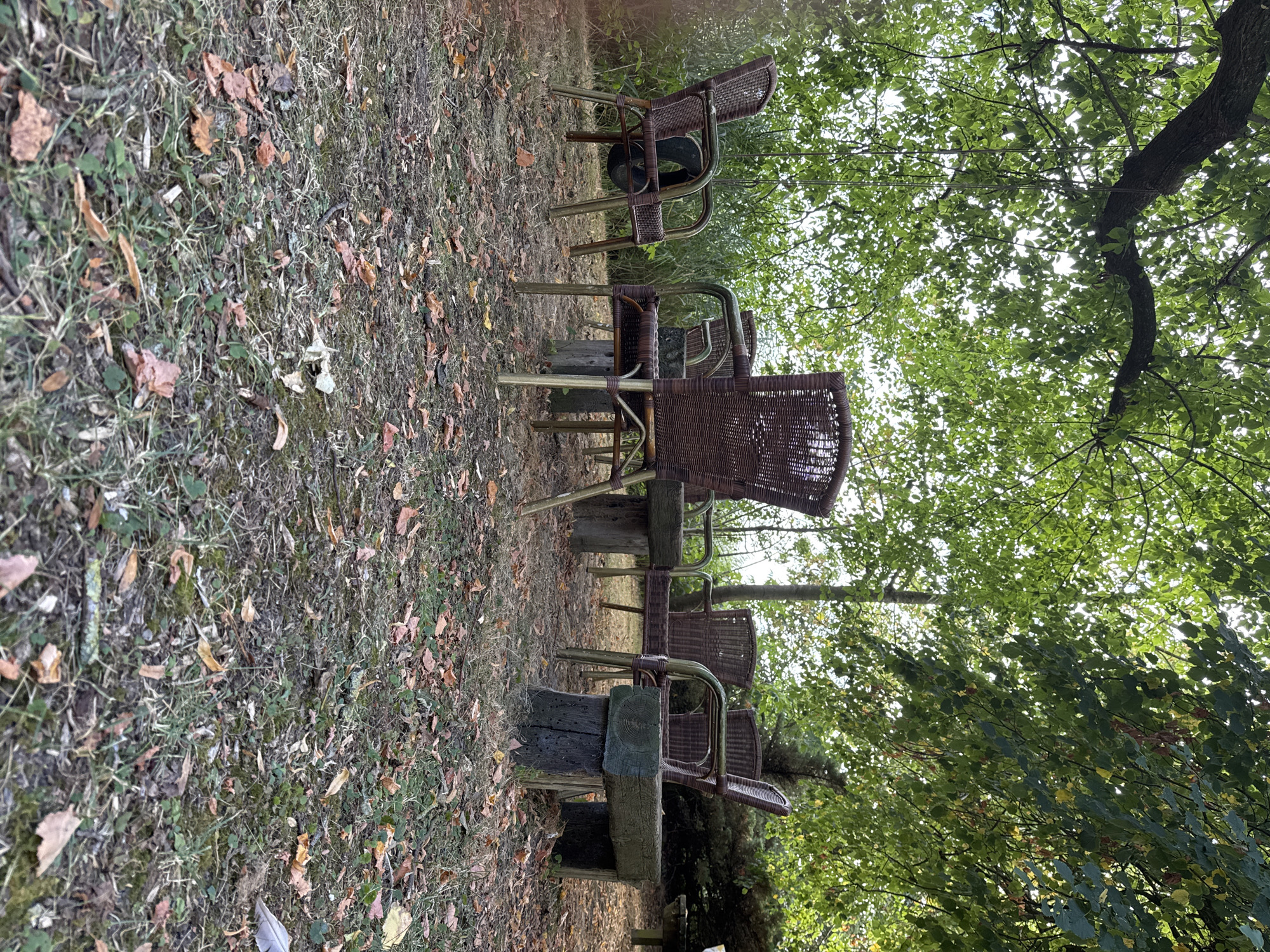 An outdoor seating area is depicted under the canopy of a mature tree, with fallen leaves scattered across the ground. The scene is composed of several woven wicker chairs with metal frames arranged around a cluster of rustic wooden stumps that serve as makeshift tables. One stump supports a weathered wooden beam acting as a bench or a low table. In the background, dense green foliage forms a natural backdrop, with the sun filtering through the leaves, creating dappled light. The overall impression is one of a secluded, natural setting, possibly a garden or a quiet spot in a park. This scene is located in Pingjum, Netherlands.