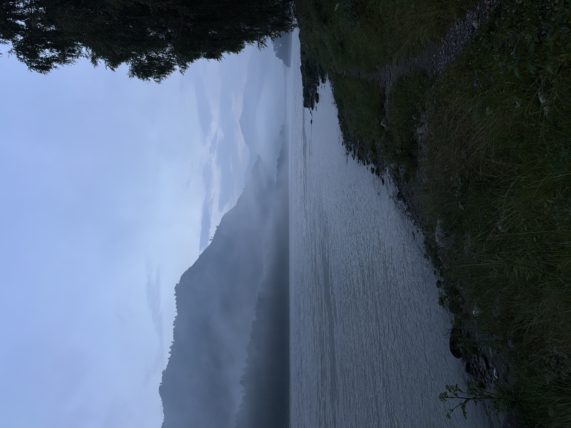 The image depicts a wide river flowing through a valley in Anos, Russia, under a hazy, overcast sky. The water is a muted blue-gray, reflecting the dim light and showing subtle ripples. The left bank of the river is lined with a rocky shore and dense, dark green grass. In the background, misty mountains rise, their peaks shrouded in fog, giving the landscape a serene and slightly mysterious atmosphere. A dense line of trees is visible along the base of the mountains, also softened by the mist. On the right side of the frame, a tall, dark tree with dense foliage dominates the foreground, its branches reaching towards the sky. A narrow, gravelly path runs along the riverbank, bordered by grass and some scattered rocks. The overall impression is one of a tranquil, natural scene at dusk or dawn, with the mist obscuring distant details and creating a sense of depth. There are no people or specific structures visible, emphasizing the natural landscape.