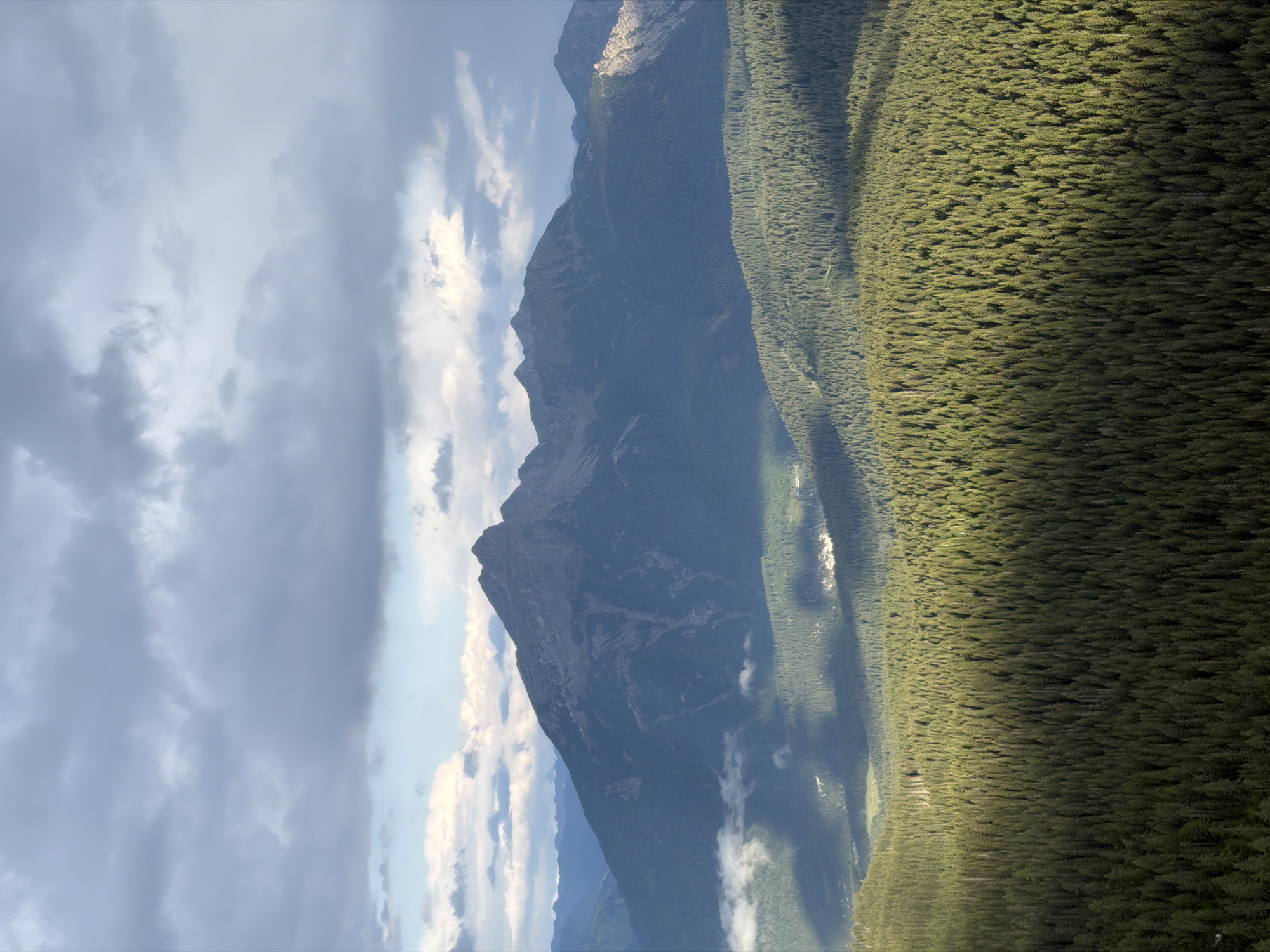 The image captures a panoramic view of a mountainous landscape dominated by a dense evergreen forest in the foreground. Several peaks rise in the background, their slopes partially covered in trees. The sky is partly cloudy, with dramatic light and shadow patterns cast across the terrain. There are no people or visible structures in the scene. The overall impression is one of a natural, untouched wilderness. While the image depicts a mountain landscape, it is not possible to confirm if this specific location is in the city of Grainau, Germany, based solely on visual evidence.