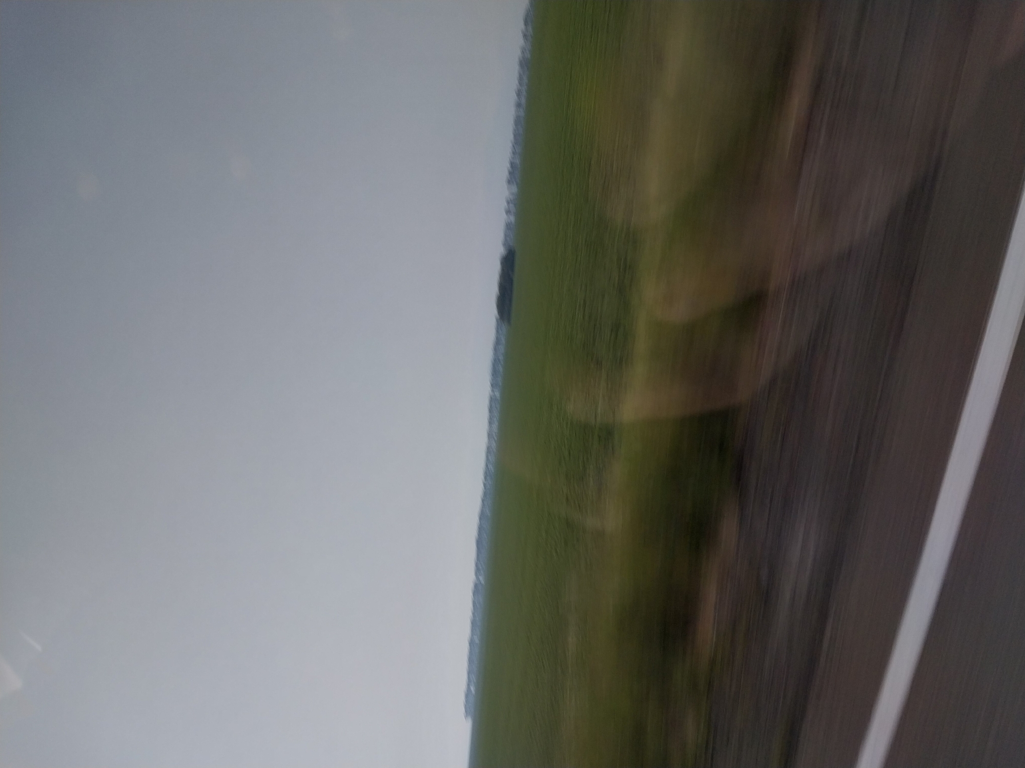 This is a blurry, horizontal, medium-shot photograph taken from a moving vehicle, likely a car or bus. The scene depicts a vast, green agricultural field stretching towards a hazy horizon under a pale, overcast sky. A dark line of trees or buildings is visible in the distance, appearing as a dense shadow against the lighter sky. In the foreground, a portion of a dark asphalt road with a white line marking is visible, also blurred due to motion. The overall impression is one of a rural landscape viewed in transit. The image is devoid of any human presence or specific identifiable landmarks that would pinpoint its location to Sychevka, Russia.