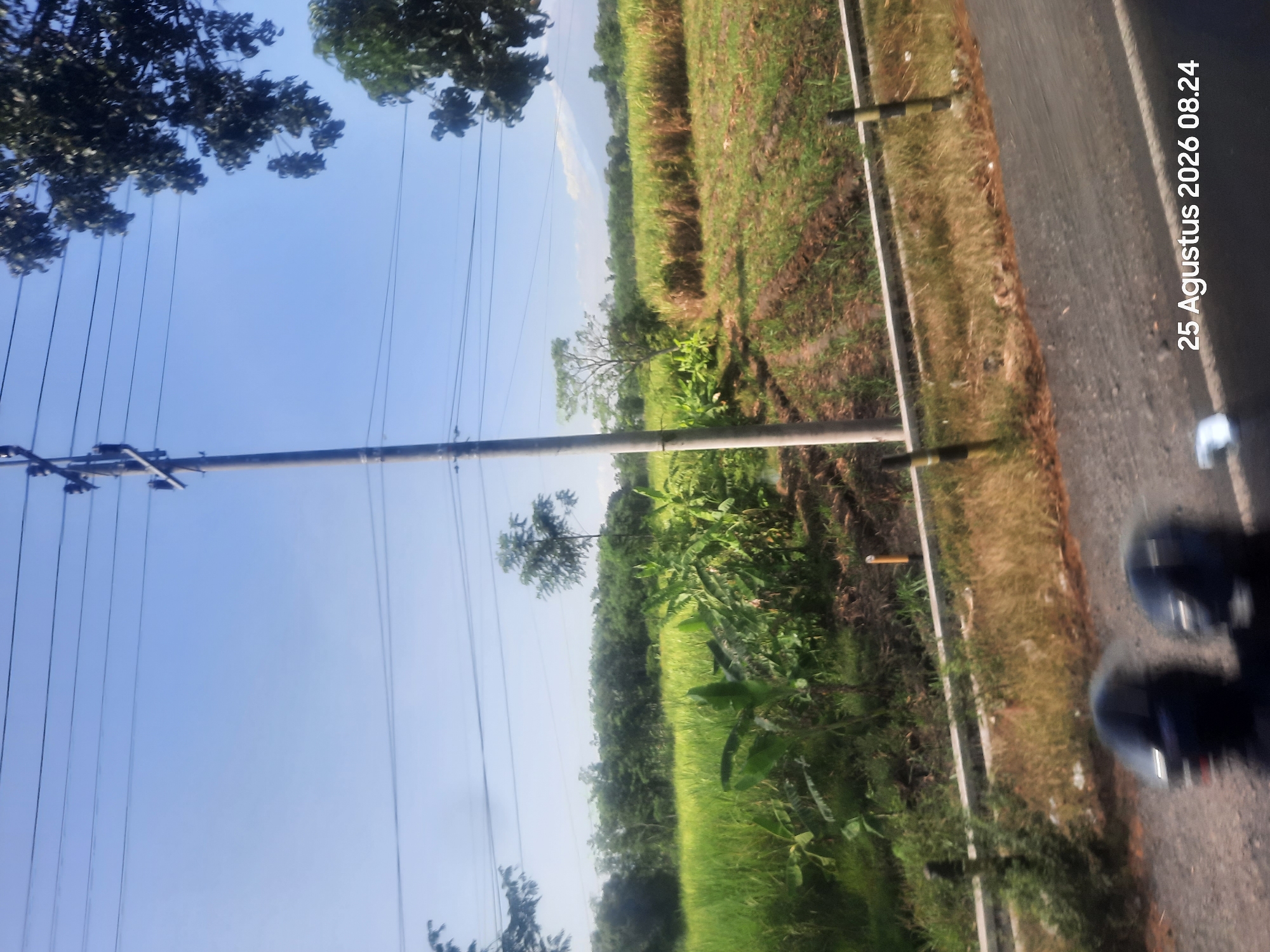 An outdoor, eye-level, wide-angle shot captures a rural landscape in Sukokerto, Indonesia, on August 25, 2026, at 08:24. A utility pole with visible wires stands prominently in the center, extending towards a clear blue sky. To the left of the pole, lush green rice fields are visible, interspersed with banana plants and other dense vegetation. To the right, dry reeds and cultivated rows of plants suggest agricultural activity. In the background, a line of trees forms a distant horizon, with a faint outline of a mountain visible beyond. In the foreground, the asphalt road is partially visible, along with two motorcycles with riders wearing helmets, indicating recent movement. The overall scene is agrarian and tranquil.