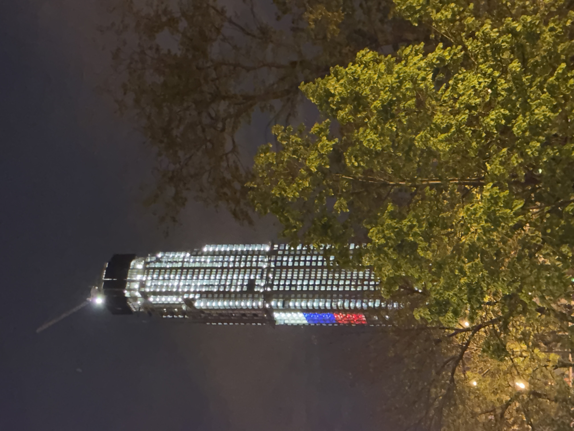 A nighttime shot captures a skyscraper illuminated with lights. The building features a display of the Russian flag. The skyscraper is partially obscured by tree branches. The location is in Moscow, Russia.