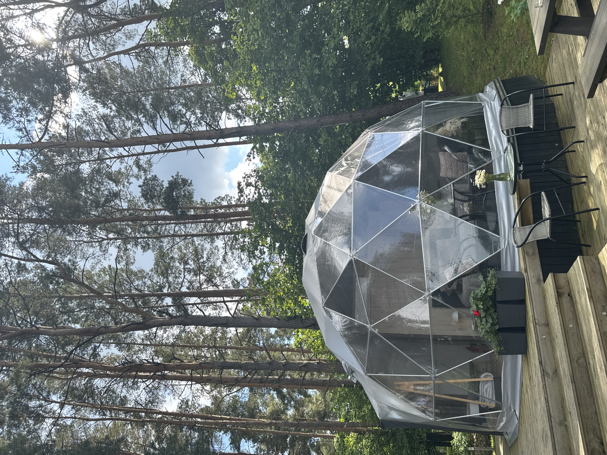 The image captures a geodesic dome structure situated on a wooden deck in a natural, wooded setting, likely Priedesmuiža, Latvia. Tall pine trees with slender trunks and sparse needles dominate the background, with sunlight filtering through their branches, suggesting a daytime scene on a clear or partly cloudy day. The dome itself is constructed from clear plastic panels supported by a white frame, offering a transparent view of the interior. Inside, simple furniture, including chairs and a small table with a vase of flowers, is visible, indicating the space is set up for outdoor dining or relaxation. Two black chairs and a table are positioned on the wooden deck just outside the dome, and another table with seating is partially visible in the upper right corner. A few black planters containing greenery and a single red flower are placed against the side of the dome. The overall atmosphere is serene and inviting, suggesting a peaceful retreat amidst nature. There is no visible text in the image.