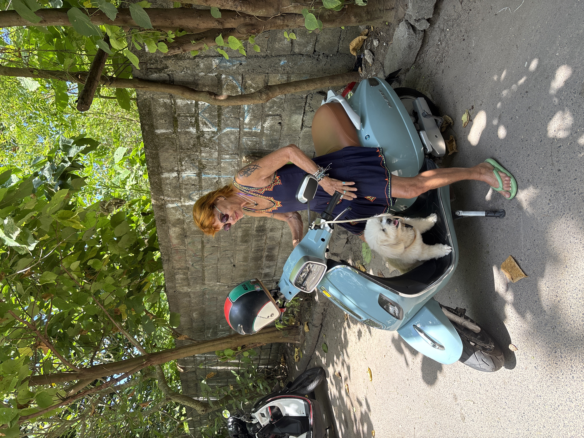 A woman wearing a navy blue dress, sunglasses, and green flip-flops sits on a light blue scooter with a white dog in the front seat. The scooter is parked on a paved surface next to a weathered, concrete wall and under the shade of trees with green leaves. A helmet rests on the scooter near the handlebars. Another motorcycle is partially visible in the lower left corner of the frame. This scene is likely located in Denpasar, Indonesia.