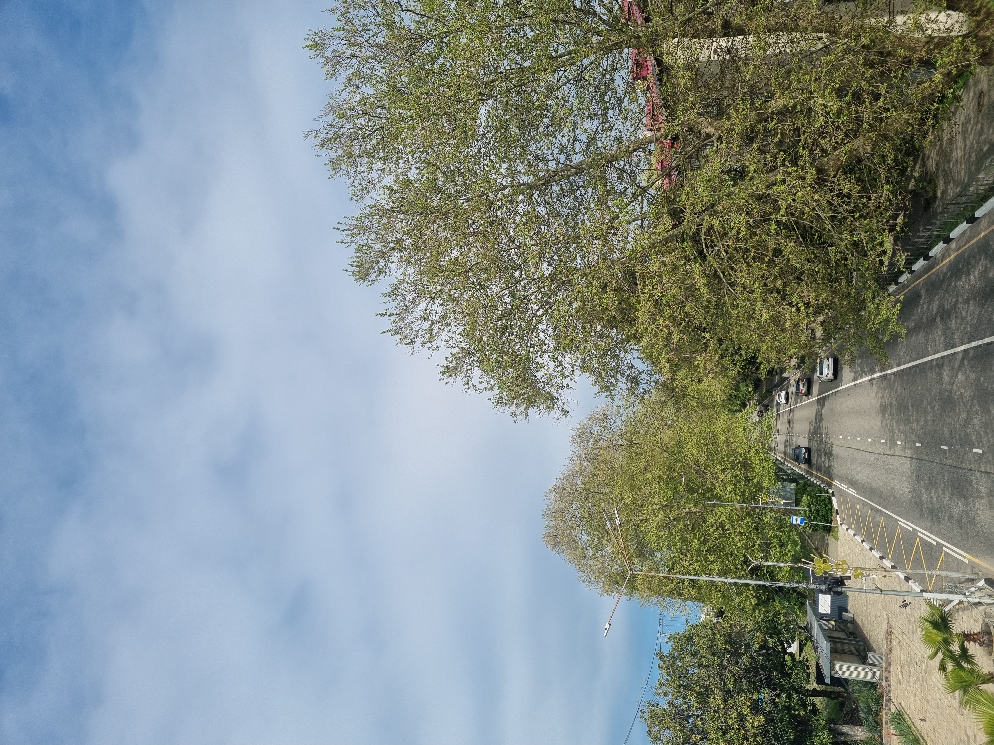 A straight, multi-lane highway extends into the distance, lined on both sides by lush, green trees. Several cars are visible on the road. On the right side of the road, a sidewalk is present, bordered by a yellow and white safety barrier. A bus stop is also visible on the right side. The sky, a pale blue with scattered white clouds, fills a substantial portion of the image. The location is Sochi, Russia, based on identifying features within the scene.