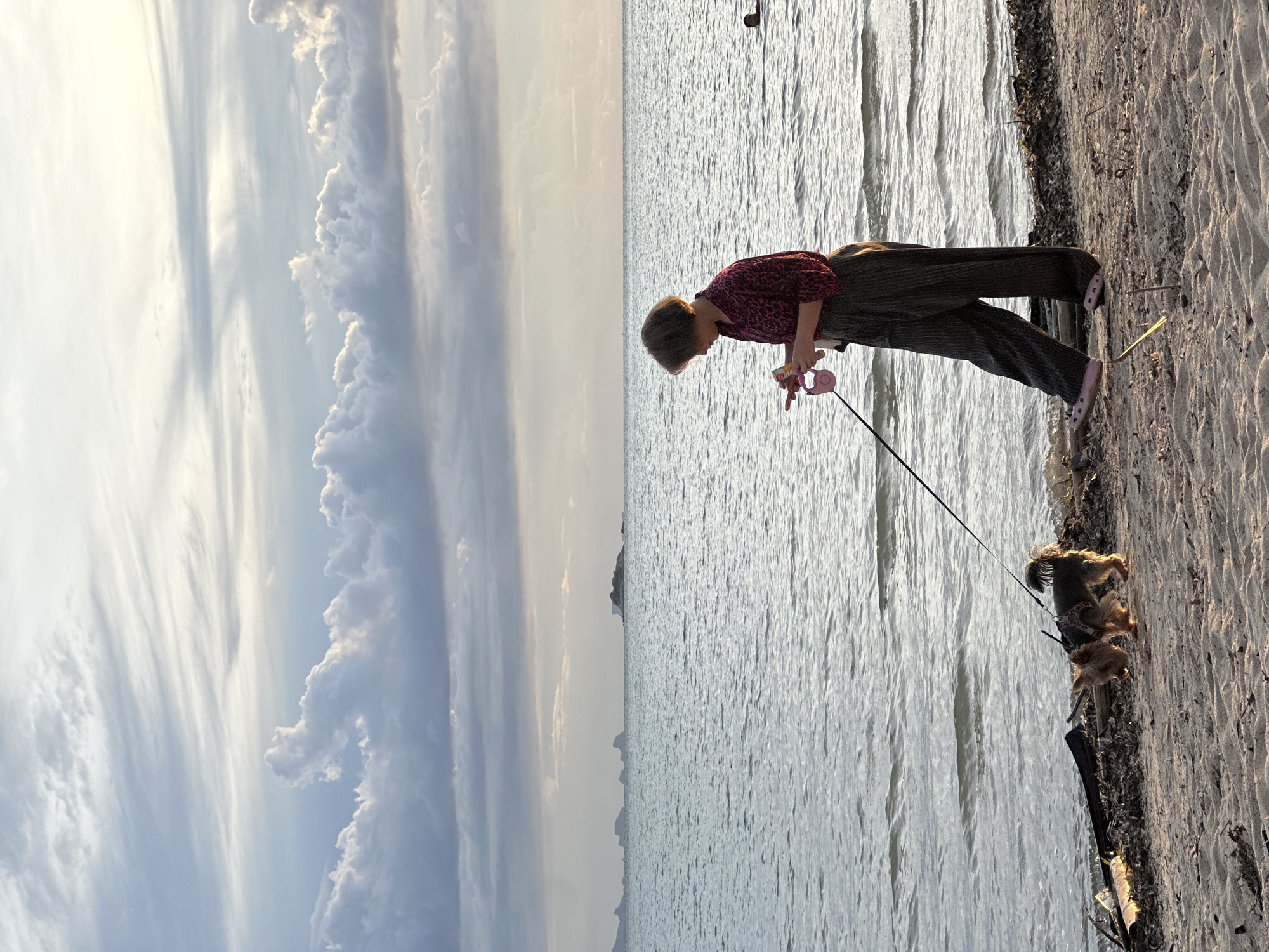 A person and a small dog are on a sandy beach next to a body of water. The person is wearing a dark-colored shirt with a pattern and dark pants. They are holding a pink leash attached to the dog. The dog appears to be a small breed, possibly a terrier mix, with light brown fur. The scene is a beach with sand in the foreground and the ocean in the background. The water has ripples, suggesting a gentle breeze. The sky is filled with dramatic clouds, some appearing wispy and others more solid, illuminated by what seems to be late afternoon or early morning light. The overall mood is peaceful and serene. The location is identified as Koh Phangan, Thailand. There is no visible text in the image.