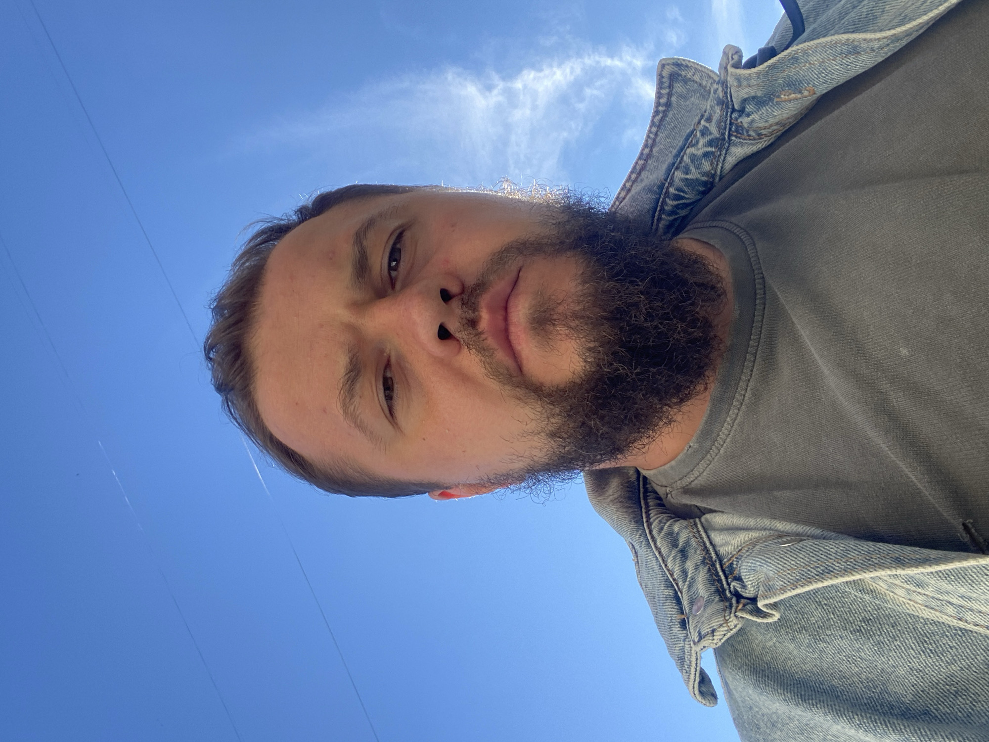 A low-angle, close-up, selfie-style shot shows a Caucasian man from the chest up, looking directly into the camera. The man has light brown hair, a light complexion, and a full beard. He is wearing a gray t-shirt and a light blue denim jacket. The background is a clear blue sky with a faint wispy cloud on the right and two thin horizontal lines which appear to be power lines.