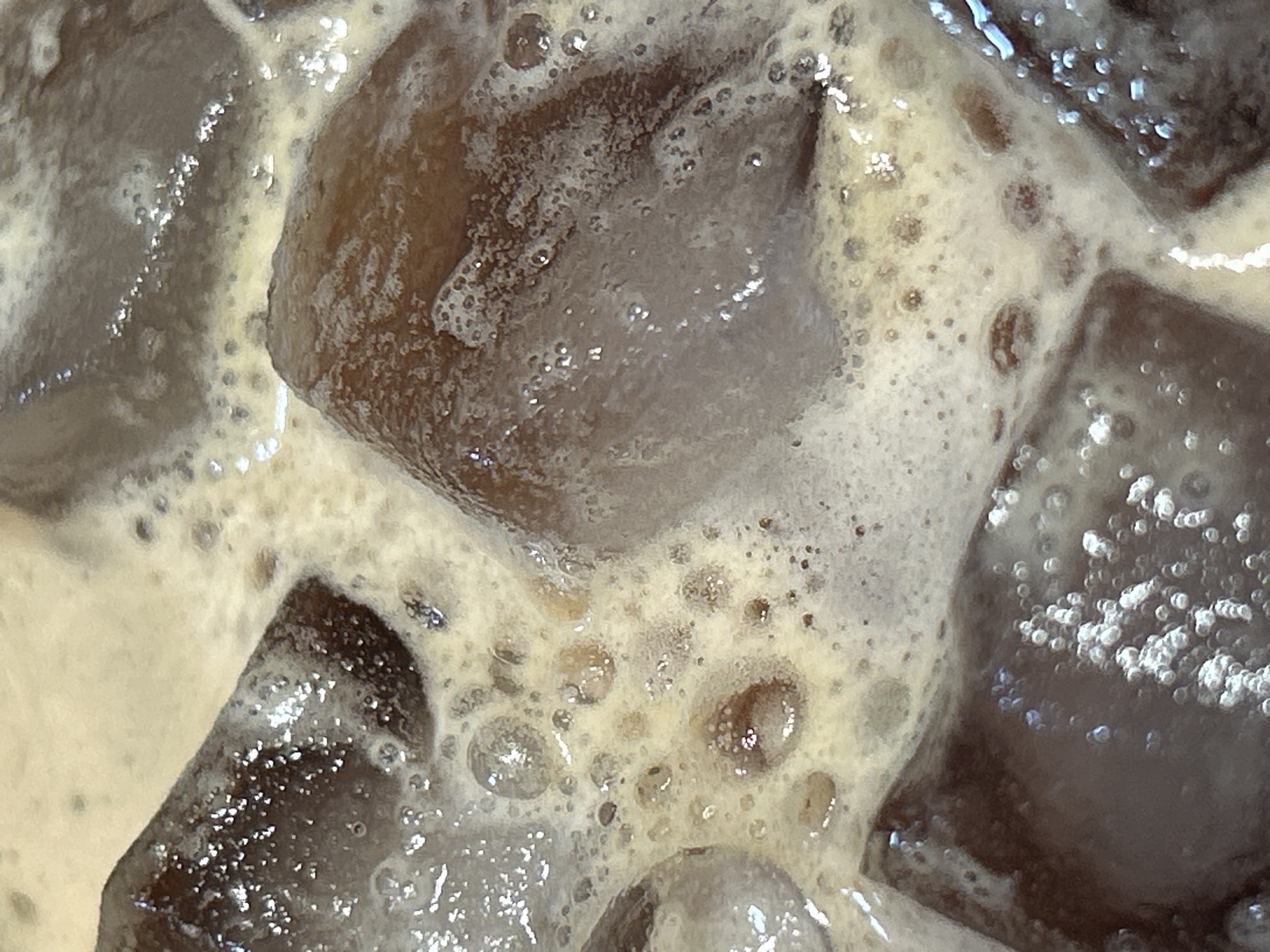 A close-up, overhead shot captures ice cubes submerged in a frothy, brown liquid. The ice cubes are irregular in shape and appear to be melting, with the surrounding liquid creating a foamy layer with numerous small bubbles. The overall impression is of a beverage being chilled with ice. The scene is devoid of any identifiable environmental context, suggesting it is a close-up of a drink rather than a specific location.