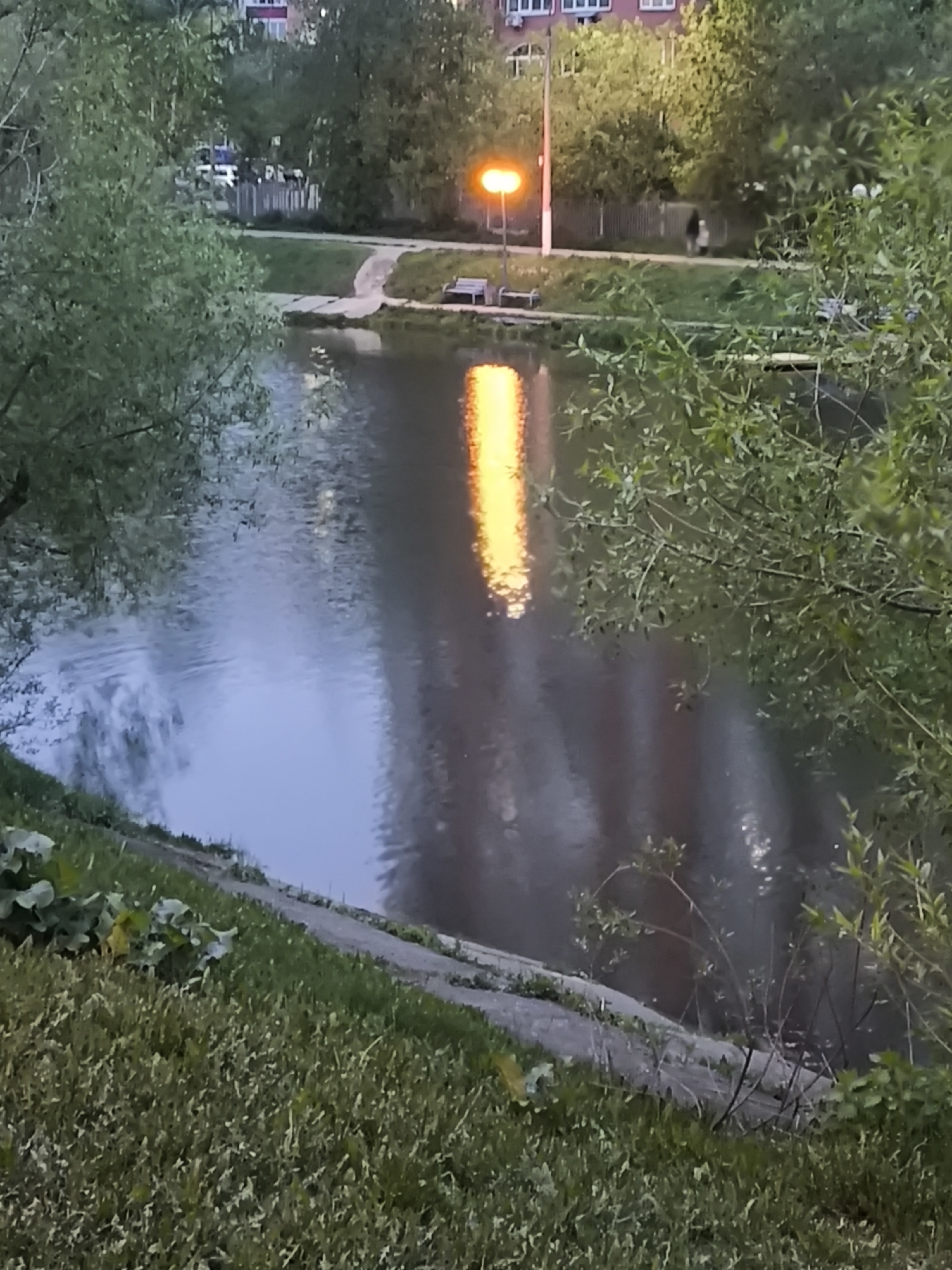 The image shows a body of water reflecting a light source at night in Khimki, Russia. The water is surrounded by greenery. A streetlight and a few benches can be seen on the far side of the water. In the distance, a residential building is visible, and there is a person walking along the path.
