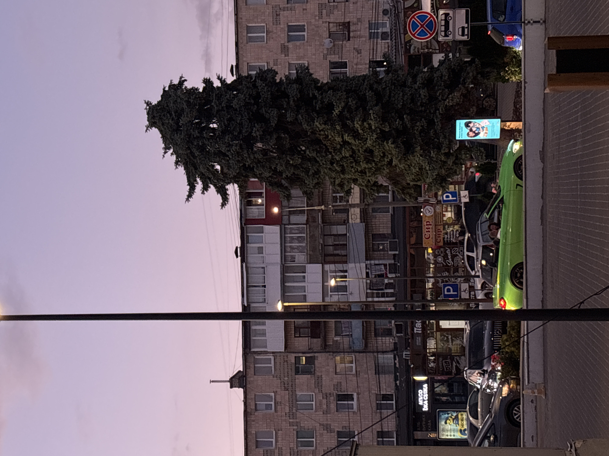 A nighttime street scene is depicted, with a tall, dark green evergreen tree dominating the left side of the frame. The tree is densely branched and reaches upwards towards a pale purple sky, hinting at dusk or dawn. Behind the tree, a multi-story building with a brick facade and numerous windows is visible. Some windows have lights on, suggesting interior activity.
On the right side of the image, a street is lined with parked cars and storefronts. A bright green car is prominently featured, facing towards the viewer. The storefronts have illuminated signs, some with Cyrillic text, indicating businesses like "CHEESE," "Паста По," and "Sweet." There are also traffic signs visible, including a "no parking" sign and a sign with a bus symbol. The overall impression is of an urban environment at night, possibly in a region where Cyrillic is used. The lighting is a mix of artificial streetlights, building lights, and the ambient glow of the sky. The scene is devoid of people.