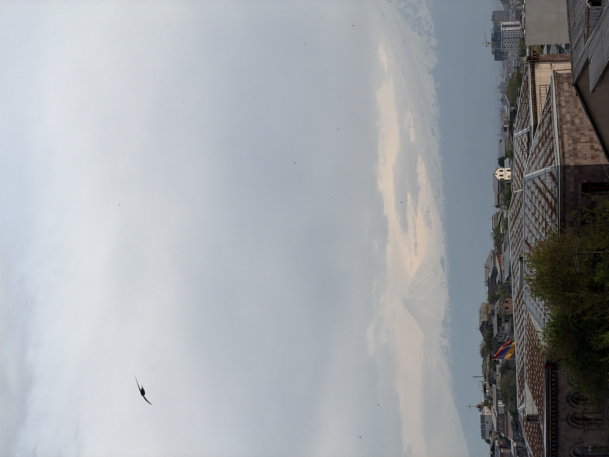 The image captures a wide, atmospheric view over an urban landscape with a significant natural landmark in the distance. The scene is set on an overcast or hazy day during daylight hours.
The upper portion of the frame is dominated by a light gray, cloudy sky. Numerous small, dark birds are visible as tiny specks scattered across the clouds, suggesting distant flocks. More prominently, a larger, dark bird with outstretched wings is captured in flight in the upper left quadrant of the image, appearing to be gliding.
Below the expansive sky, the scene transitions to a city environment. A collection of buildings fills the lower and right-hand side of the frame. These structures display varied architectural styles, including buildings with textured stone or brick facades and others topped with corrugated metal roofs. In the mid-ground, slightly to the left, the majestic, snow-capped peaks of a large mountain range, identifiable as Mount Ararat given the location context of Yerevan, rise from the haze, partially obscured by clouds.
Further into the city, particularly towards the right, more distant multi-story buildings and a construction crane are visible, hinting at urban development. An Armenian flag, characterized by its red, blue, and orange horizontal stripes, is clearly seen flying from a flagpole on one of the buildings in the lower right section of the image, serving as a distinct geographical identifier. Patches of green foliage from trees or bushes are interspersed among the buildings on the right. No human figures or discernible text are visible in the image.