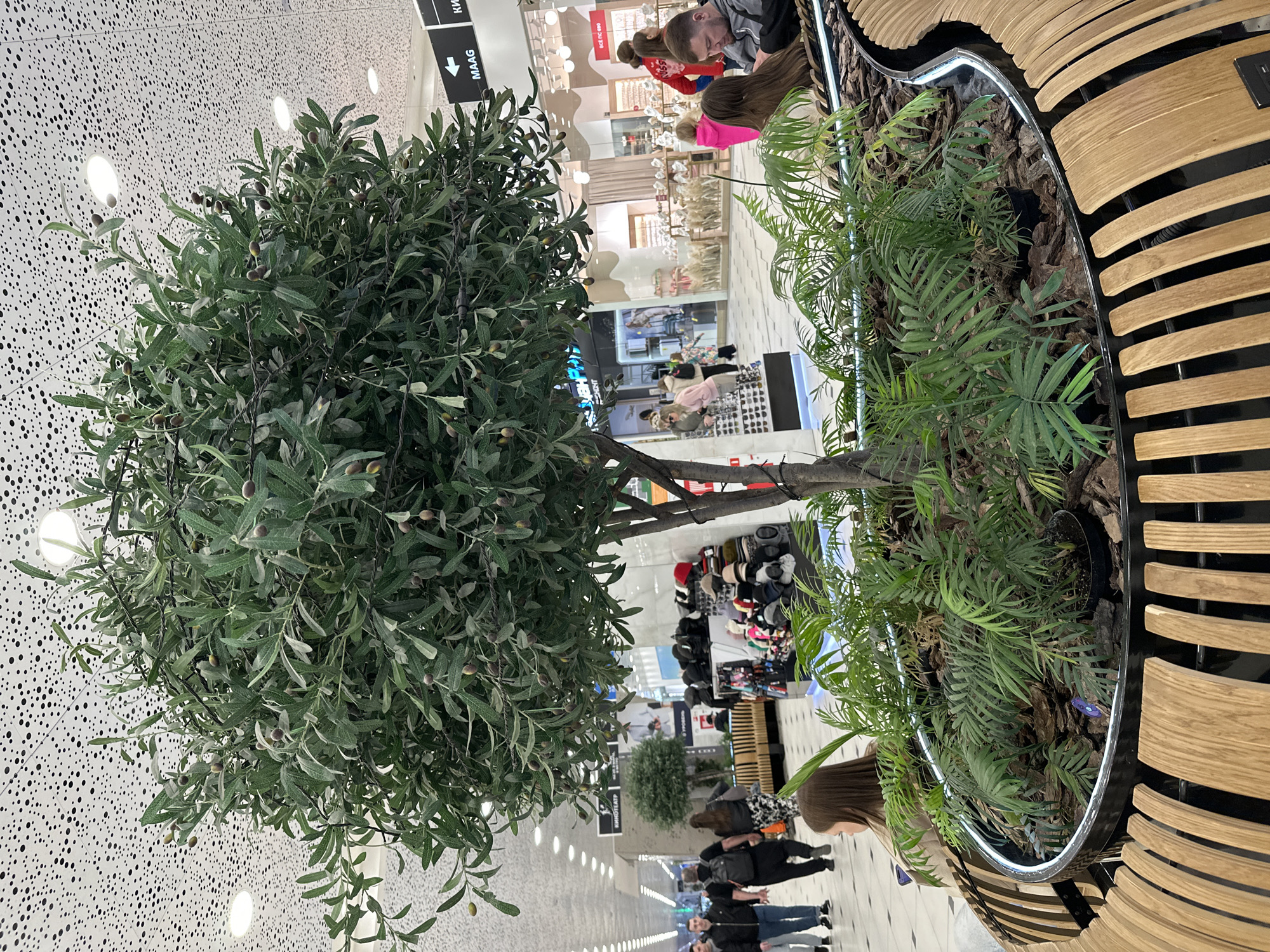 This vertically oriented image captures an indoor scene within a modern shopping mall, likely in Yekaterinburg, Russia, given the Cyrillic text visible. In the immediate foreground, a large, artificial olive tree with numerous green leaves and small, dark olive-like fruits dominates the left side of the frame. Its branches extend towards the center, slightly obscuring the background.
To the right of the olive tree, a contemporary, curved planter or bench structure is visible. It features horizontal wooden slats in a light, natural tone, contrasted with dark metal frames. Inside this planter, vibrant green leafy plants, resembling ferns, are growing amidst dark bark mulch. A woman with long brown hair is partially visible in the lower right, seated near this structure, facing away from the camera.
The background shows a busy mall environment with several people walking, browsing, or standing near various storefronts. One shop display features a collection of hats and headwear. Another storefront has a sign with red Cyrillic text that appears to read "ВСЁ ПО 990" (Everything for 990). Further down the mall aisle, additional blurry figures and shop fronts are visible, including a partial sign "РИНОТЕА".
The ceiling above is a distinctive white with a dense pattern of small, dark perforations and embedded circular lights that brightly illuminate the space, suggesting daytime. A black directional sign with a white arrow and the text "MAAG" (and some Cyrillic characters like "ККИ") is mounted high on the wall in the upper right. The floor is a reflective tiled surface. The overall atmosphere is that of a standard, well-lit, and active commercial shopping area.