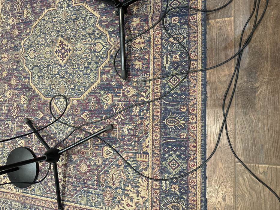 The scene depicts an interior floor space. A large, patterned rug covers the majority of the frame, featuring traditional motifs with a central medallion in dark blue, burgundy, and beige hues. Two black microphone stands are partially visible: one on the upper left, characterized by a circular base and three splayed legs with rubber feet; another on the right, showing a horizontal arm and a single leg with a rubber foot. Multiple black cables, likely audio or electrical, are loosely scattered and entangled across the rug, extending onto the lower section of the frame. This lower section reveals medium-brown wooden floorboards with visible grain. No individuals, specific actions, or interactions are present in the image. The visual content does not provide any identifying information regarding its location as Moscow, Russia.