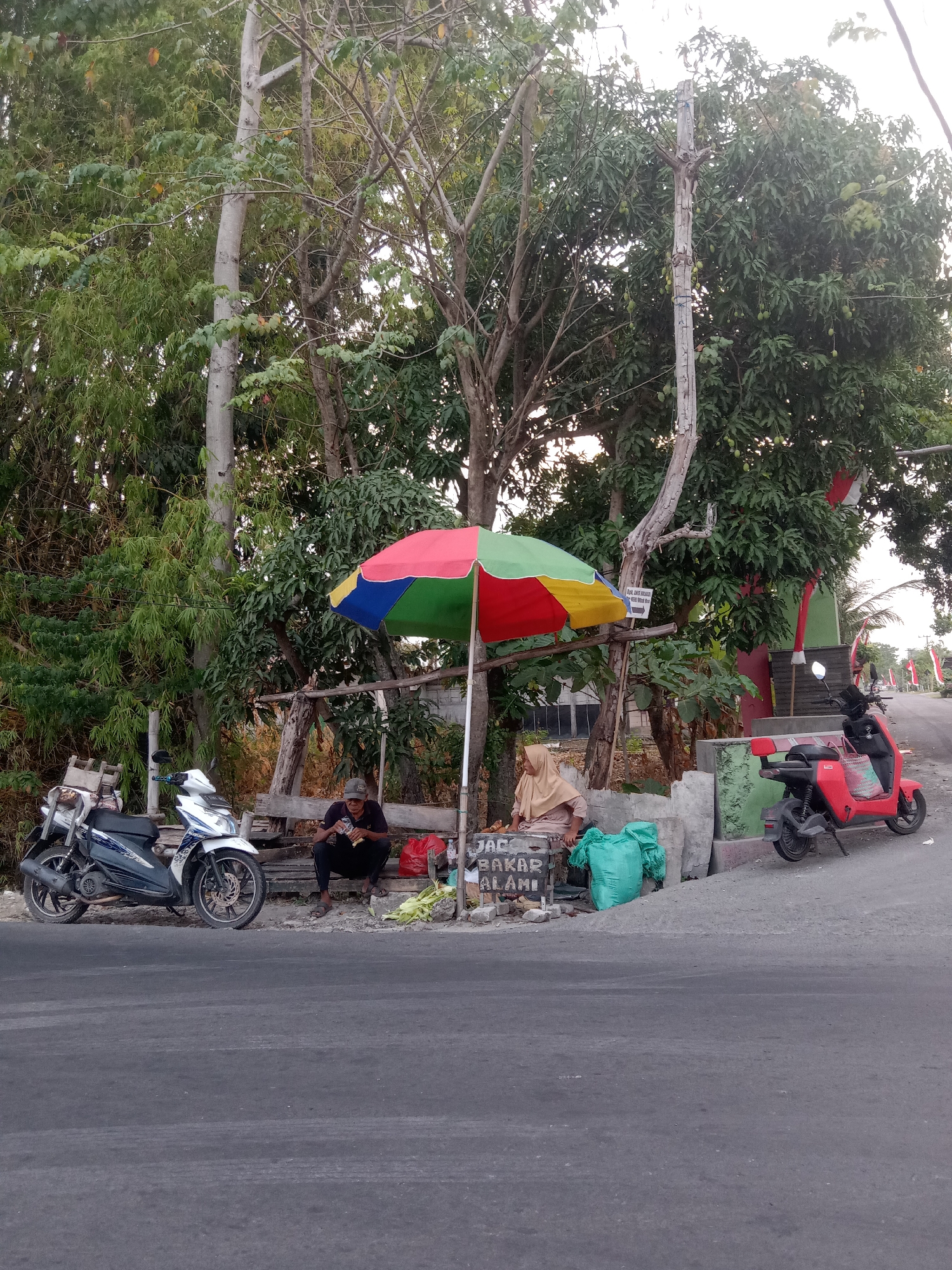 In Sugihwaras, Indonesia, on a roadside with asphalt pavement and a gray concrete barrier, a scene unfolds under a colorful umbrella. A man in a dark shirt and hat squats on a wooden bench, holding a food package. Beside him, a woman in a tan hijab sits on the same bench, looking down. In front of them, a wooden stand with the text "JAGUNG BAKAR ALAMI" is visible, alongside a bright green bag and some corn husks. To the left of the bench, a white and blue motorcycle is parked, while to the right, a red electric scooter is stationary. The background features lush green trees and vegetation, with a light-colored pole supporting some wires and a sign. The overall atmosphere suggests a roadside food stall operating in a semi-rural environment.