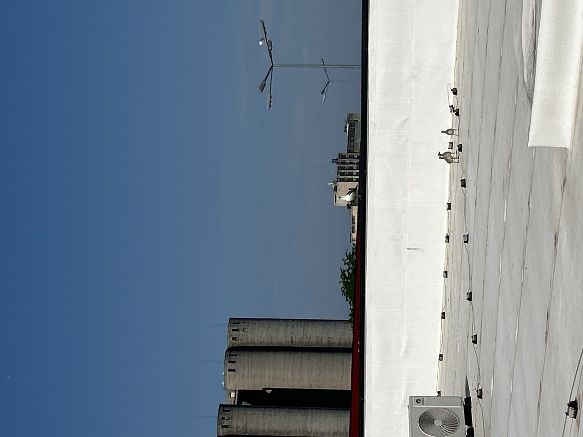 The image displays a bright, clear daytime scene, possibly captured from a window or elevated vantage point, showcasing a combination of a rooftop and a distant urban landscape reflected or viewed through glass. The right side of the frame features a stark white, flat rooftop with a textured surface, possibly a waterproofing membrane. In the bottom right corner, a gray air conditioning unit is visible. Across the rooftop, a series of small, dark, square installations, possibly solar panel mounts or other fixtures, are connected by wires. Two light-colored birds, possibly pigeons, are perched on the rooftop, one closer than the other.
The left side of the image is primarily occupied by a clear, vibrant blue sky, indicating sunny weather. Superimposed against this sky, or reflected in a window, is a view of a street light pole with multiple arms and light fixtures. Below the street light, several large, cylindrical concrete structures, resembling industrial silos or storage tanks, are prominent. Further in the background, behind these silos, are multi-story buildings and some green foliage. A white bird is also visible, perched on one of these distant structures. A thin, dark line vertically divides the rooftop area from the sky and reflected/viewed landscape, suggesting the edge of a window frame or building structure. The overall impression is one of a calm, static urban or industrial environment, consistent with a location such as Burgas, Bulgaria, where port or industrial facilities might be present. No discernible text is visible within the image.