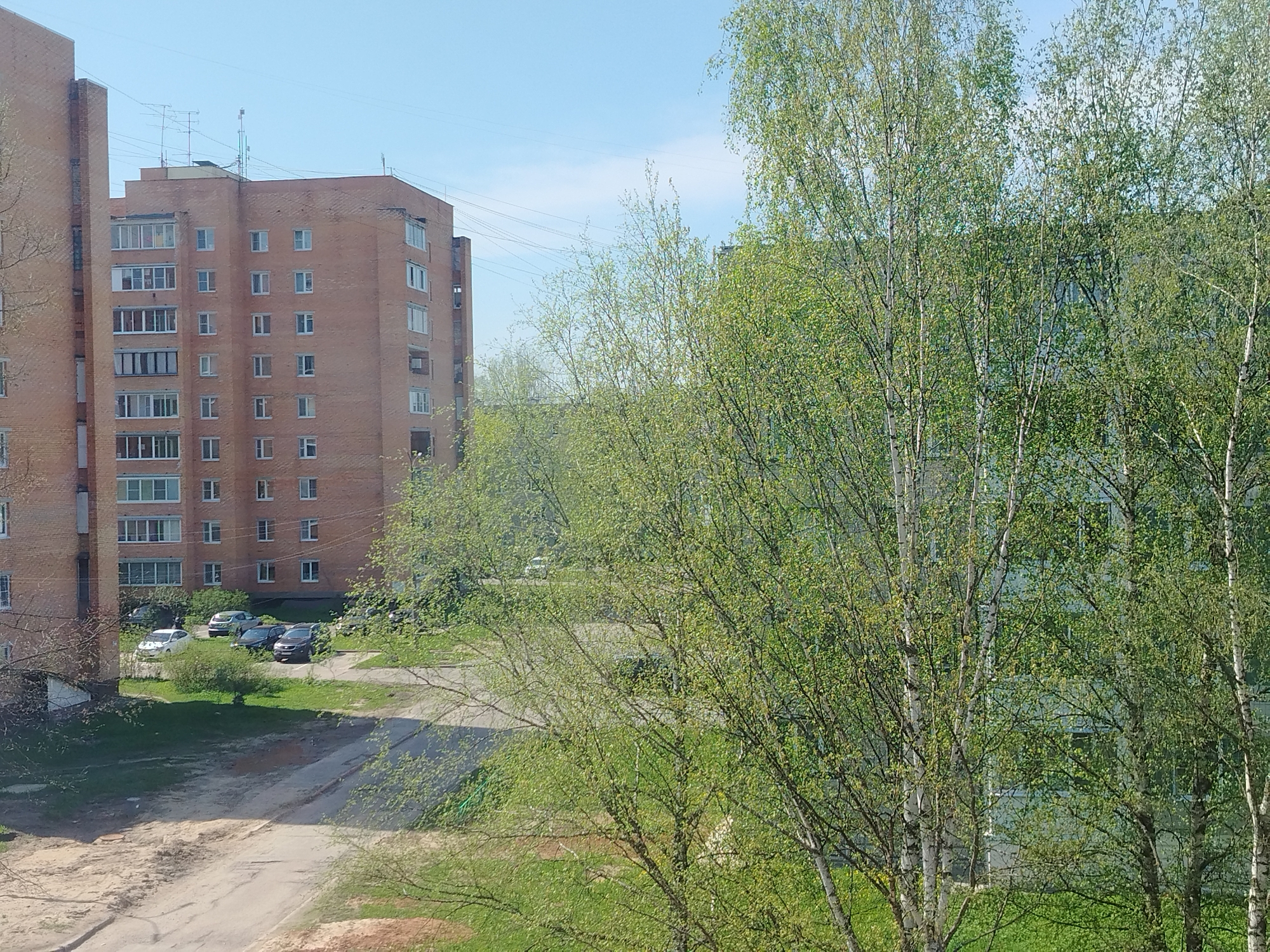 A photograph taken on a sunny day captures a scene in an urban environment. The foreground features a group of birch trees with fresh green leaves, partially obscuring a light-colored building in the background. To the left, a red brick apartment building stands prominently, with multiple stories and numerous windows, some of which have balconies. Several cars are parked in a lot adjacent to the building, on a patch of grass and dirt. In the center, a gray paved road leads out of the frame. Above the buildings, a clear, blue sky is visible. Power lines run across the sky between the buildings.