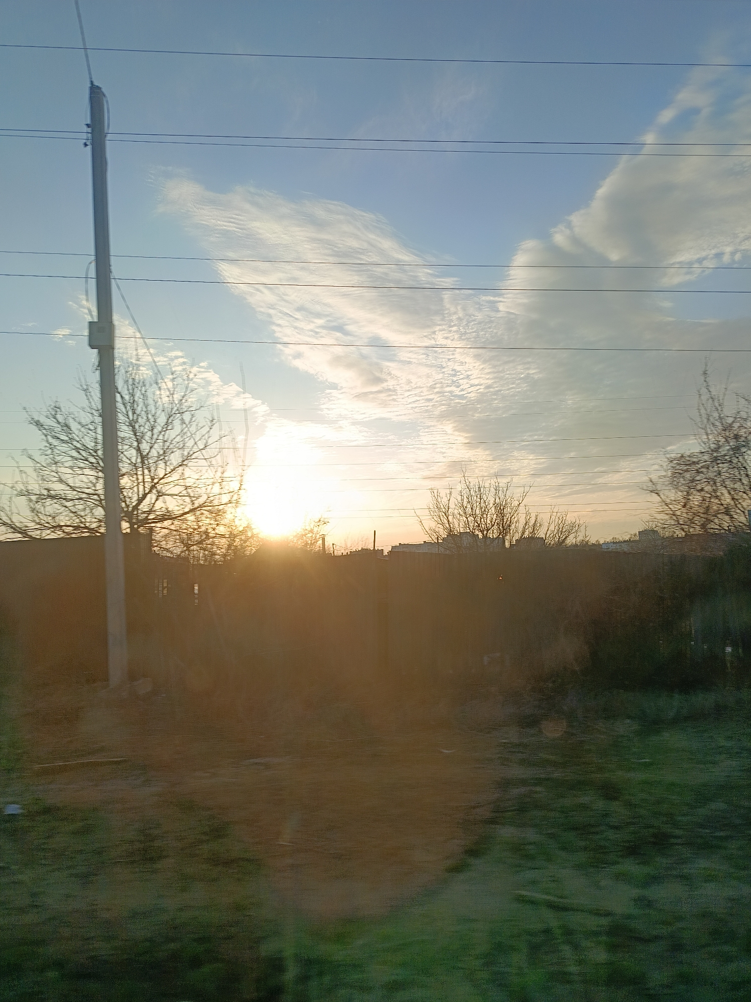 The image captures a landscape at sunrise or sunset. A utility pole stands on the left, adjacent to a leafless tree, casting a shadow. Bare trees and what appears to be a dark fence are visible in the middle ground. The sun is positioned low on the horizon, obscured by vegetation. The sky is pale blue with long, thin clouds. Power lines stretch across the upper portion of the frame. The foreground consists of blurred green vegetation, indicating the image was likely taken from a moving vehicle. The location is unknown, but suggests a rural or suburban area.