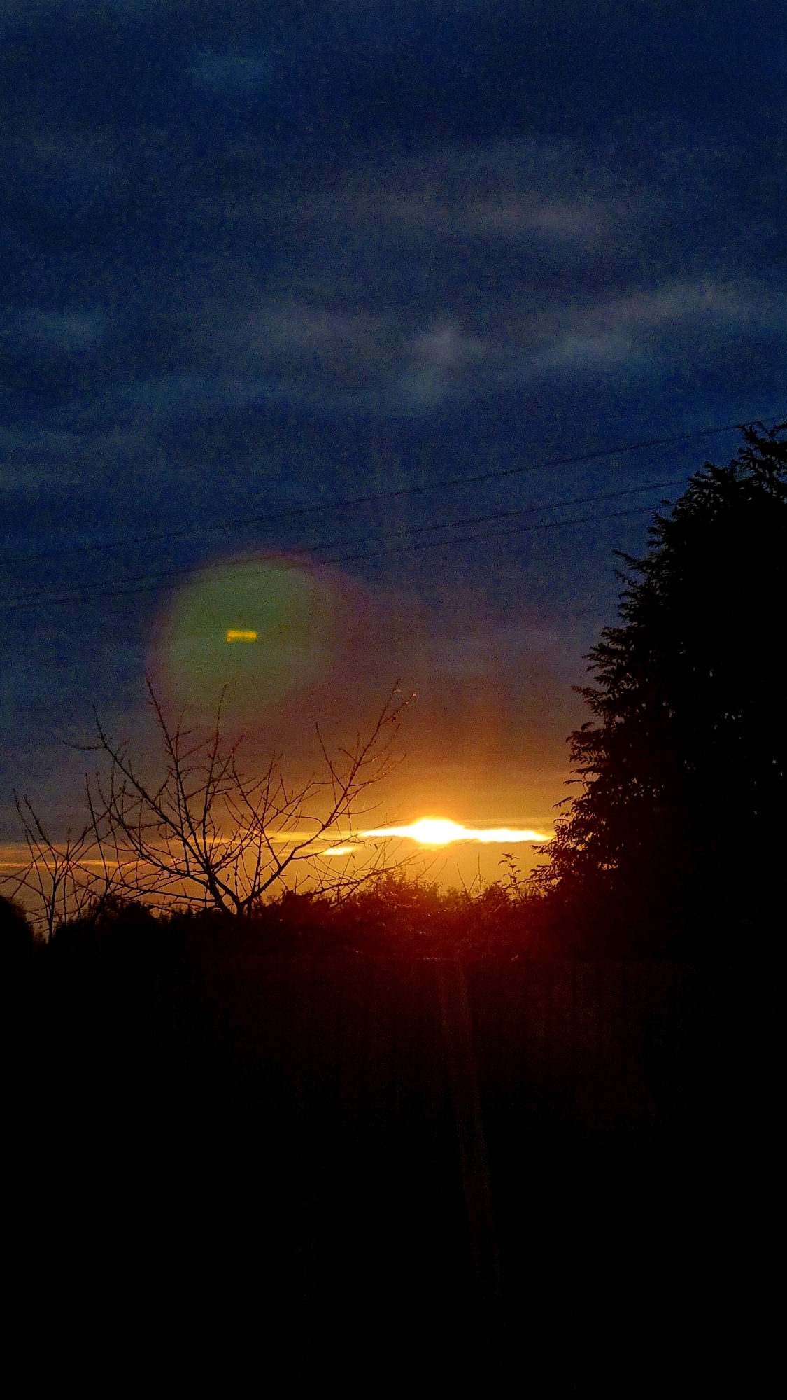 The image depicts a sunset scene in Vysokoe, Russia. A bare tree with intricate branches is silhouetted against a sky transitioning from deep blue to warm orange hues. The sun, a bright ball of light, is partially obscured by a horizontal band of clouds near the horizon, casting a radiant glow. A dense silhouette of foliage forms the foreground, creating a dark, mysterious landscape. In the upper left portion of the sky, a faint, elongated yellow object is visible, surrounded by a subtle halo effect. Power lines are also faintly discernible against the dark sky, stretching horizontally across the upper portion of the frame. The overall mood is serene and slightly enigmatic due to the presence of the unusual celestial object.
