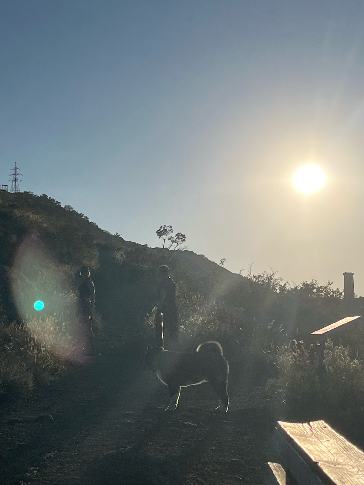 The image depicts a natural outdoor scene, possibly a park or trail, with a steep, vegetated hillside on the left and a bright sun in the upper right quadrant. There are two silhouetted figures standing on the path, with a dog standing between them and slightly in front of the right figure. The dog appears to be an Akita or similar breed. In the foreground, a portion of a wooden picnic table is visible. A noticeable light flare, appearing as a bright blue orb, is present in the left-middle portion of the image. In the background, a power line tower is visible on the hillside to the left, and a tall, narrow structure, possibly a chimney or column, is visible on the right. The overall lighting suggests it is either sunrise or sunset, with the sun low on the horizon. There is no indication of the image being located in Tbilisi, Georgia.