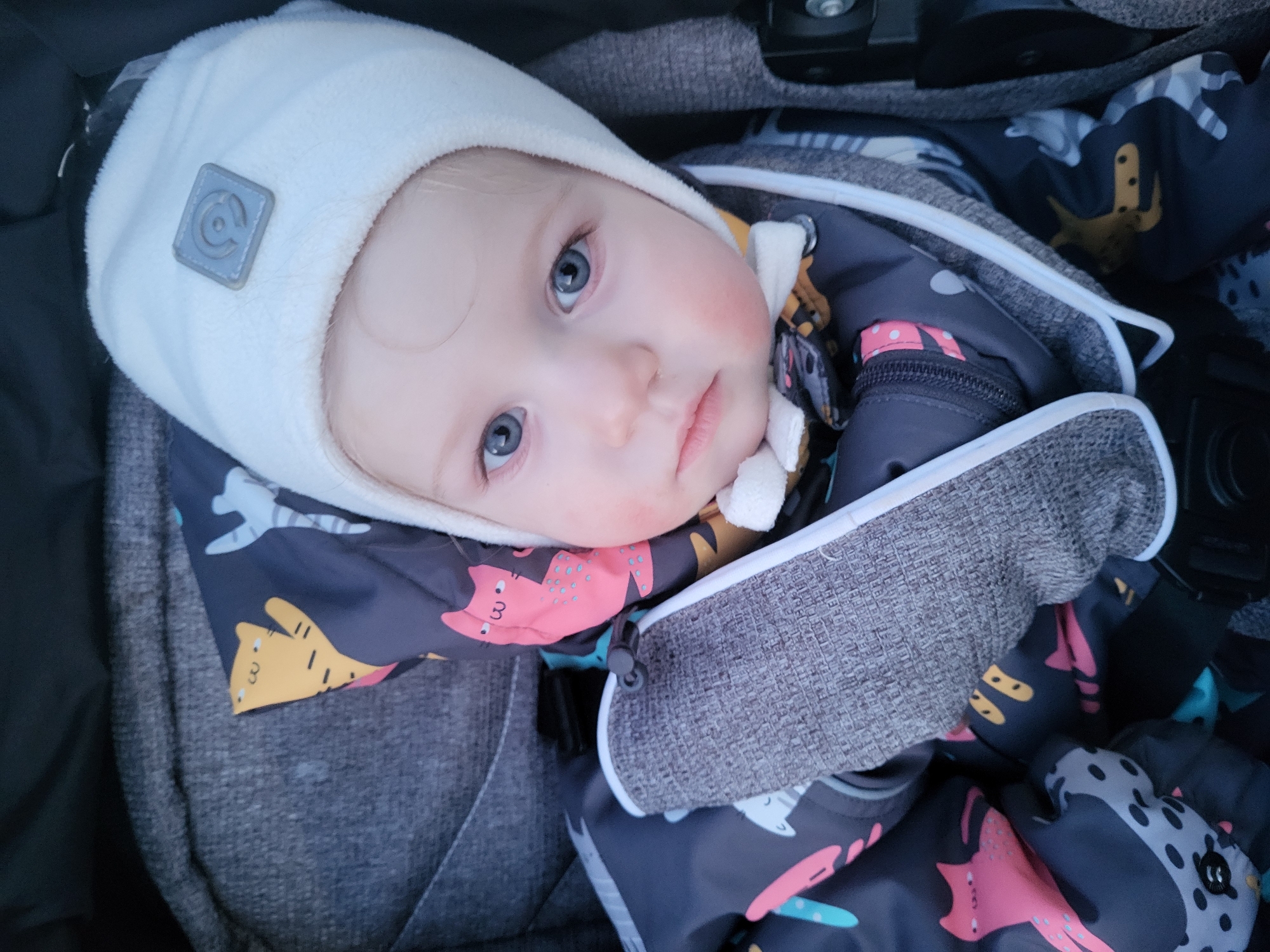 A close-up, high-angle shot captures a baby or young toddler nestled warmly in what appears to be a stroller or car seat. The scene likely takes place outdoors in Chaikovsky, Russia, given the bundling against cold weather. The child, with fair skin, rosy cheeks, and striking blue eyes, gazes directly at the camera with a calm and curious expression.
The baby wears a soft, white fleece or knit hat, which features a small, light grey square patch on the left side. This patch displays a stylized symbol, possibly a letter 'C' or a circular emblem. The child is dressed in a padded jumpsuit or snowsuit in dark grey or navy blue, patterned with cheerful cartoon animals in shades of yellow, pink, and light blue, including cats and other figures. The baby is securely tucked into a textured, grey fabric lining, suggesting a cozy environment within the stroller. The overall lighting is soft and natural, indicating daytime, possibly on an overcast day.