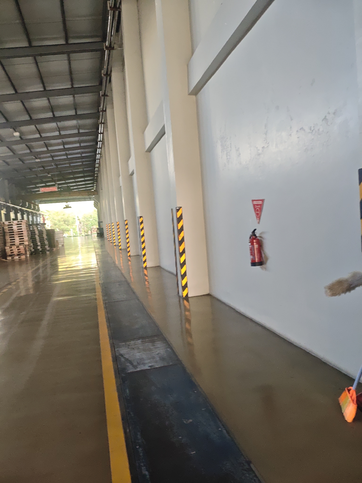 The image depicts an interior view of a large, industrial building, likely a warehouse or factory, possibly located in Bae, Indonesia, based on the provided context. The scene is characterized by a long, wide corridor with a polished concrete floor that reflects the light from overhead fixtures and the open entrance at the far end.
On the left side of the corridor, stacks of wooden pallets are visible, suggesting storage or preparation for shipping. The ceiling is constructed with metal beams and corrugated roofing panels. Along the right wall, which is painted a light color, there are several vertical yellow and black striped posts, likely for safety or to delineate a pathway. A red fire extinguisher is mounted on the wall, accompanied by a triangular red sign above it. A broom with orange and yellow bristles is partially visible in the lower right corner, implying recent or ongoing cleaning.
The far end of the corridor opens to an outdoor area with trees and natural light, indicating a loading dock or an exit. The overall impression is one of a functional, utilitarian space within an industrial complex. No people are clearly discernible within the frame. The lighting is a mix of artificial overhead light and natural light streaming in from the exit. The floor appears slightly wet or highly polished, contributing to the reflections.