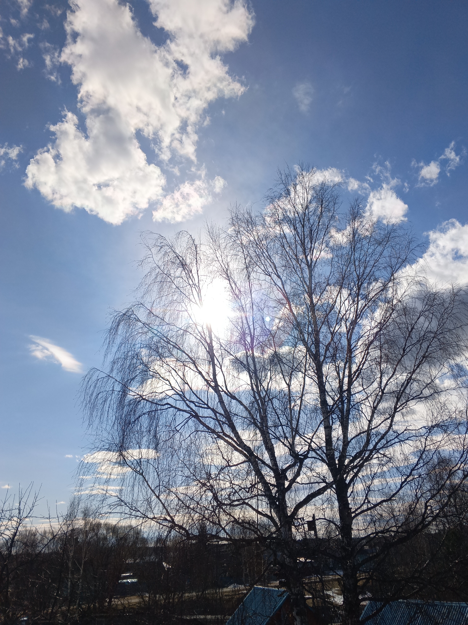 The image shows a tree with bare branches against a backdrop of blue sky with scattered clouds. The sun is shining through the branches, creating a lens flare effect. Below the tree is a landscape of trees and rooftops, suggesting an urban or suburban setting. Given the location of Красный Маяк, Russia, the landscape is likely characterized by similar features.