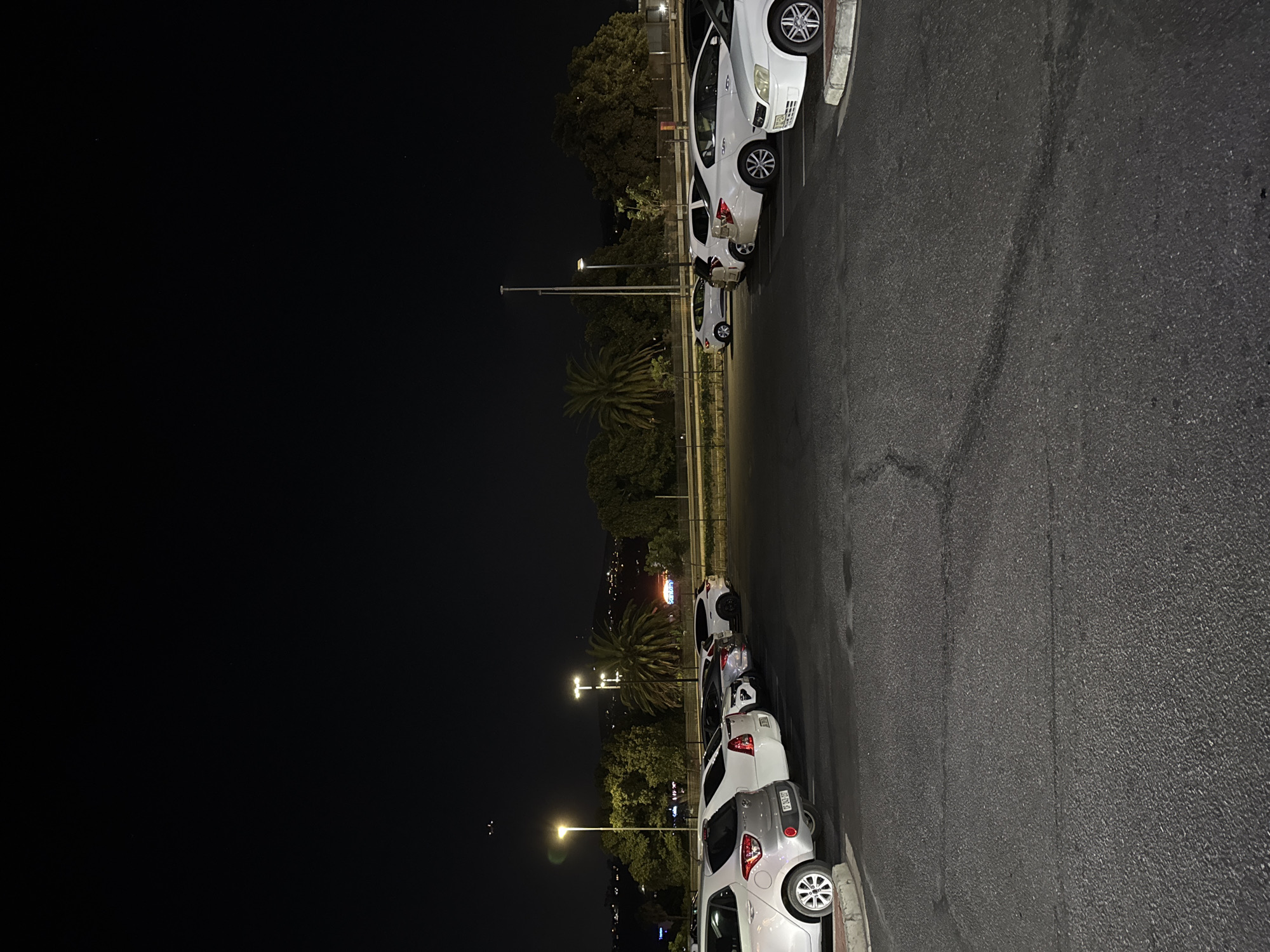 The image depicts a nighttime scene in Bellville, South Africa. Several cars are parked along a street illuminated by streetlights. Palm trees and other vegetation are visible between the cars and the darker background, where city lights are also present. The road surface appears to be asphalt. There are no people visible in the image.