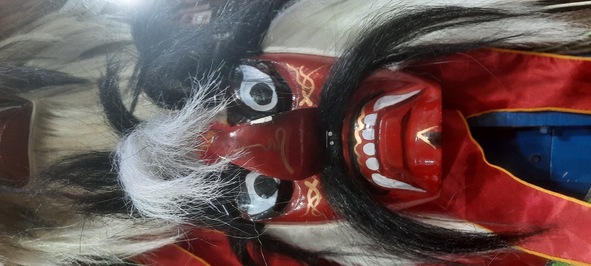 A close-up, head-on shot shows a red, carved wooden mask with a fierce expression. The mask has large, white-rimmed black eyes with pointed inner corners. The nose is prominent and red, with thin gold markings on the bridge and sides. A thick, black mustache with a slight curl at the ends covers the upper lip. The mouth is open, revealing rows of white teeth, with two sharp, fang-like teeth protruding from the upper jaw. The mask is adorned with gold decorative patterns around the eyes and mouth. A sparse, white, spiky fringe runs across the forehead, with black hair cascading down the sides and back. The mask is partially obscured by red fabric with a gold trim, and a glimpse of blue material is visible beneath. This mask is likely an exhibit or prop from a cultural performance in Blitar, Indonesia, possibly related to traditional Javanese theater or dance.