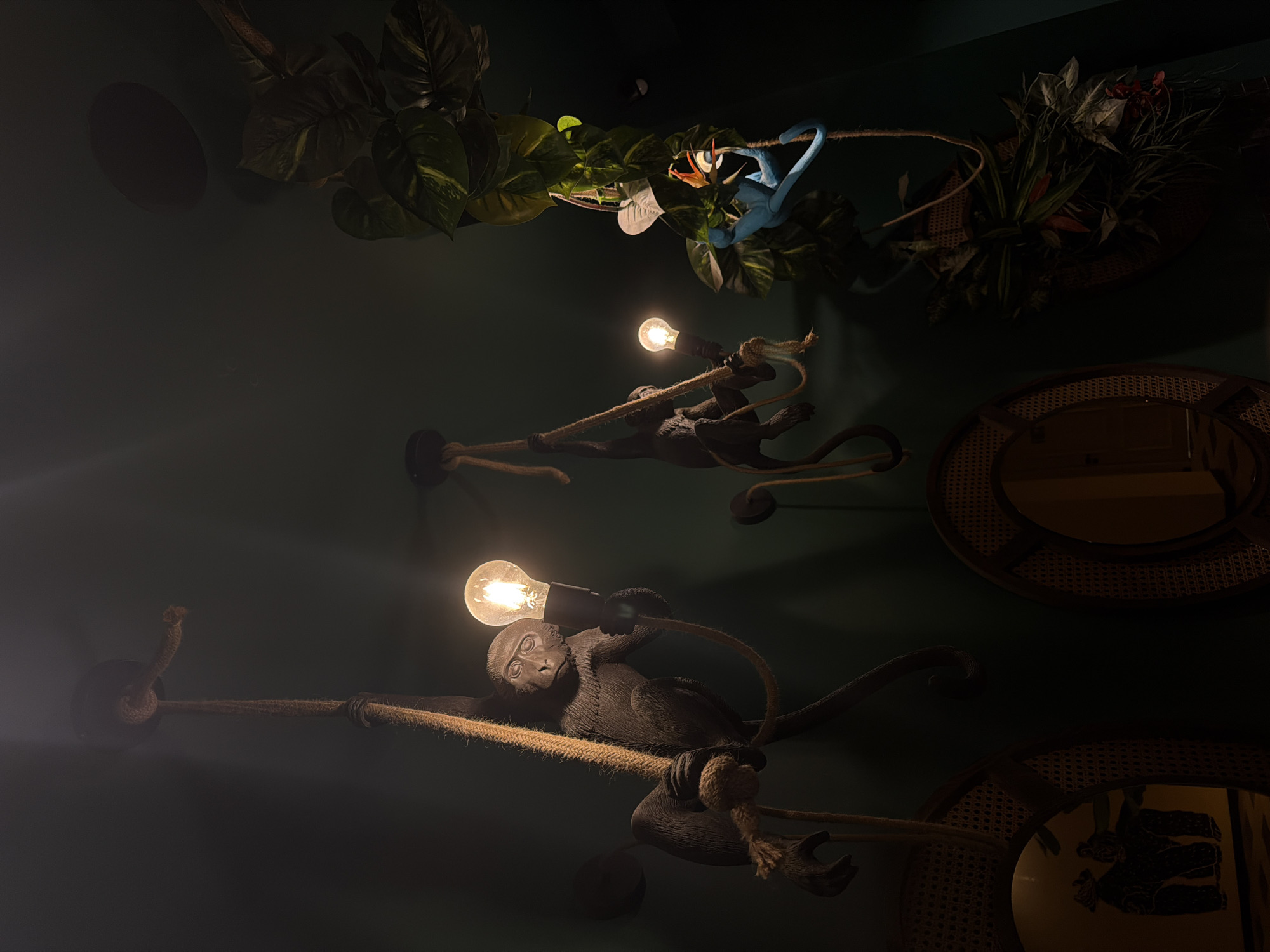 The image depicts a dimly lit interior, possibly a restaurant or bar, located in Varna, Bulgaria. Three decorative monkey figures, each holding a bare light bulb, are mounted on a dark green wall. The monkeys are made of a dark material and appear to be hanging from ropes. The light bulbs are illuminated, casting a warm glow. Above the monkeys, there are potted plants and a blue decorative monkey. Two circular mirrors with rattan frames are visible on the right side of the frame. The overall atmosphere is moody and exotic.