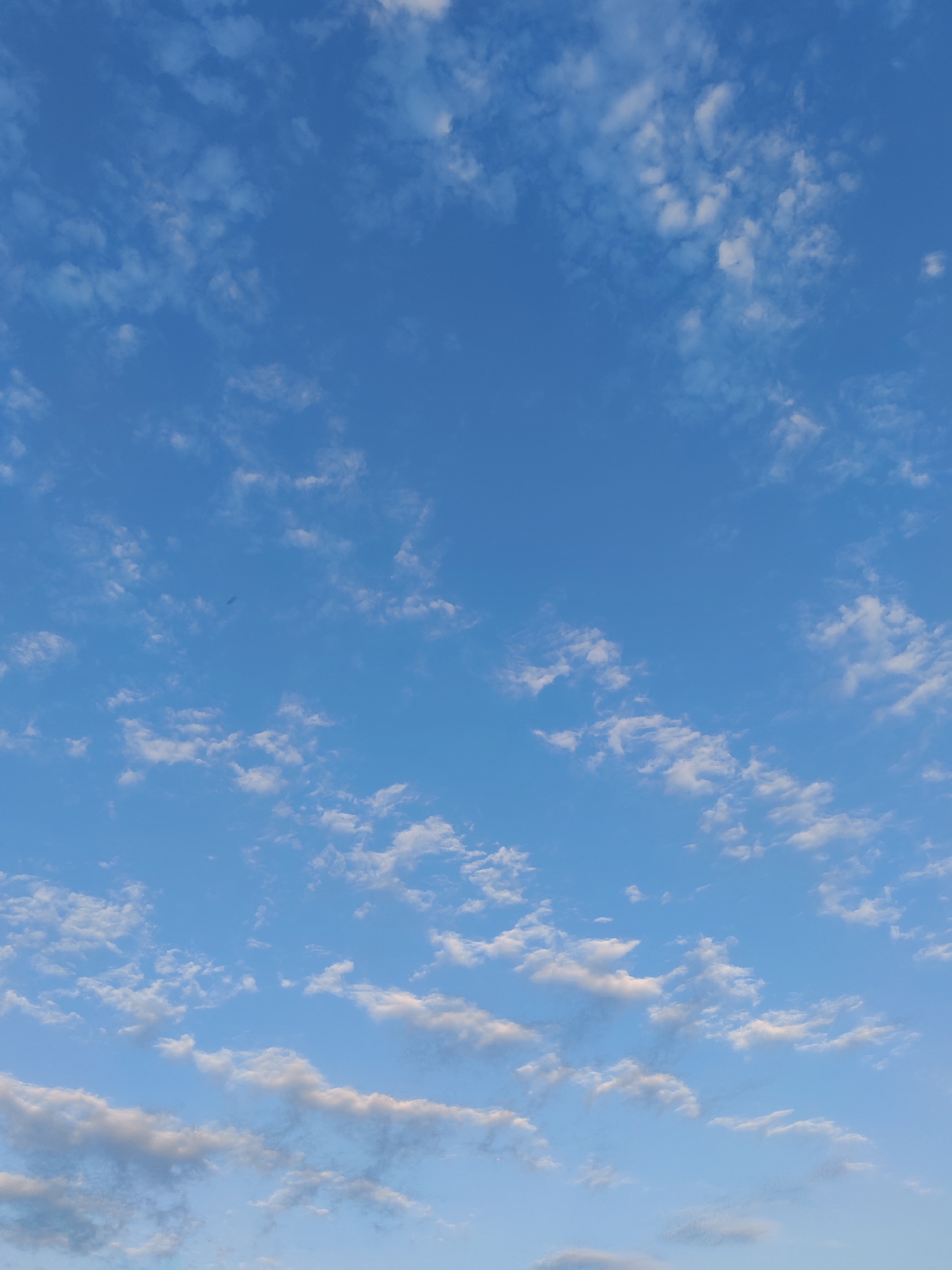 The image displays a vast expanse of a bright blue sky dotted with scattered white clouds. The clouds are wispy and appear to be at various altitudes, with some closer and more defined, while others are more distant and diffuse. The lighting suggests it is daytime, possibly late afternoon or early morning, as the light is soft and even. There are no visible people, man-made objects, or specific location cues that would pinpoint a precise spot within Sabunchu Raion, Azerbaijan. The overall mood conveyed by the image is one of serenity and openness, with the expansive sky evoking a sense of calm. No text is visible in the image.
