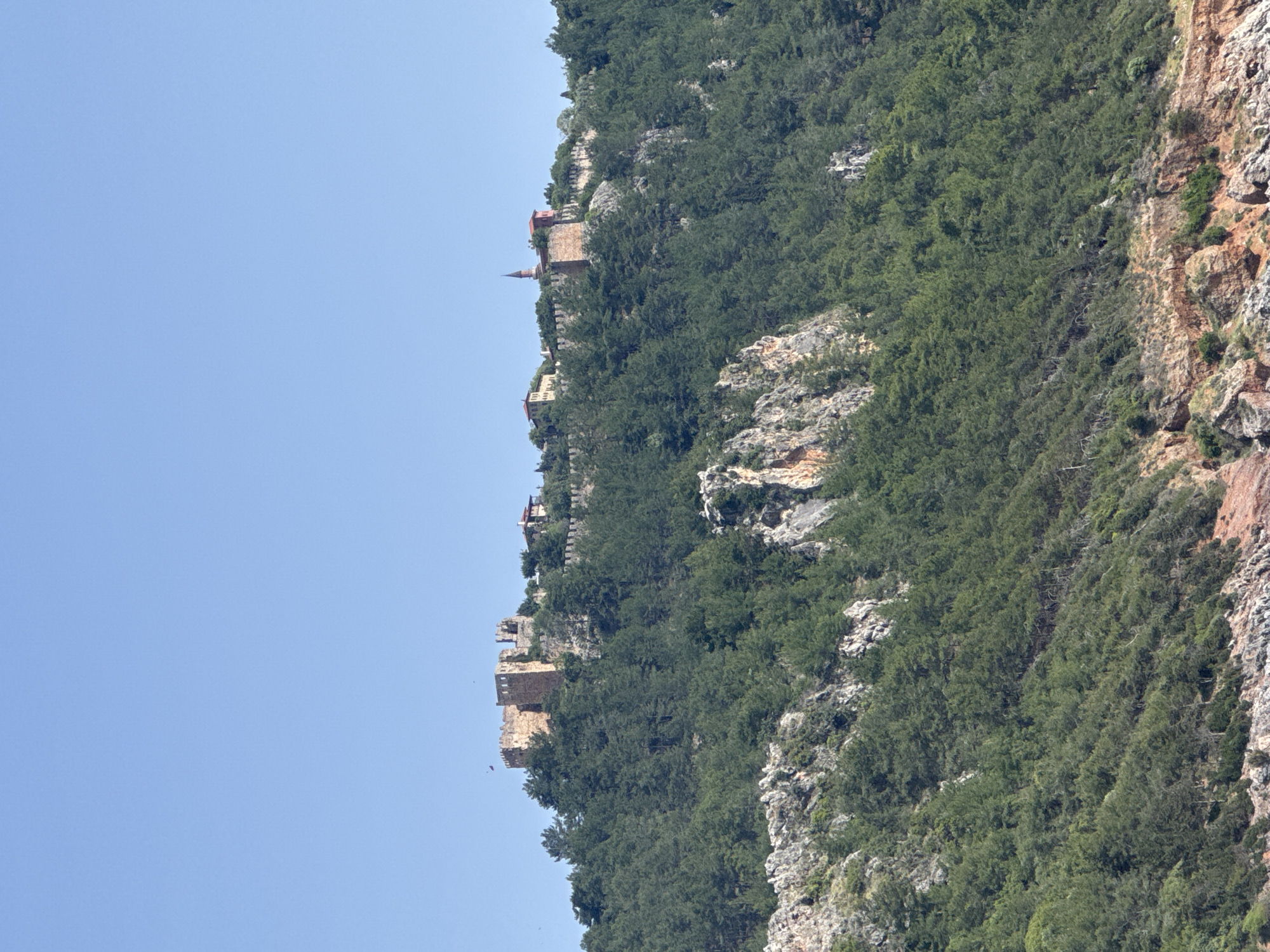 The image shows Alanya Castle, located in Alanya, Turkey, perched atop a steep, densely vegetated hillside. The castle's stone walls and towers are visible amidst the trees, extending along the ridge. Patches of rock outcrop are apparent. A clear, light blue sky fills the background.