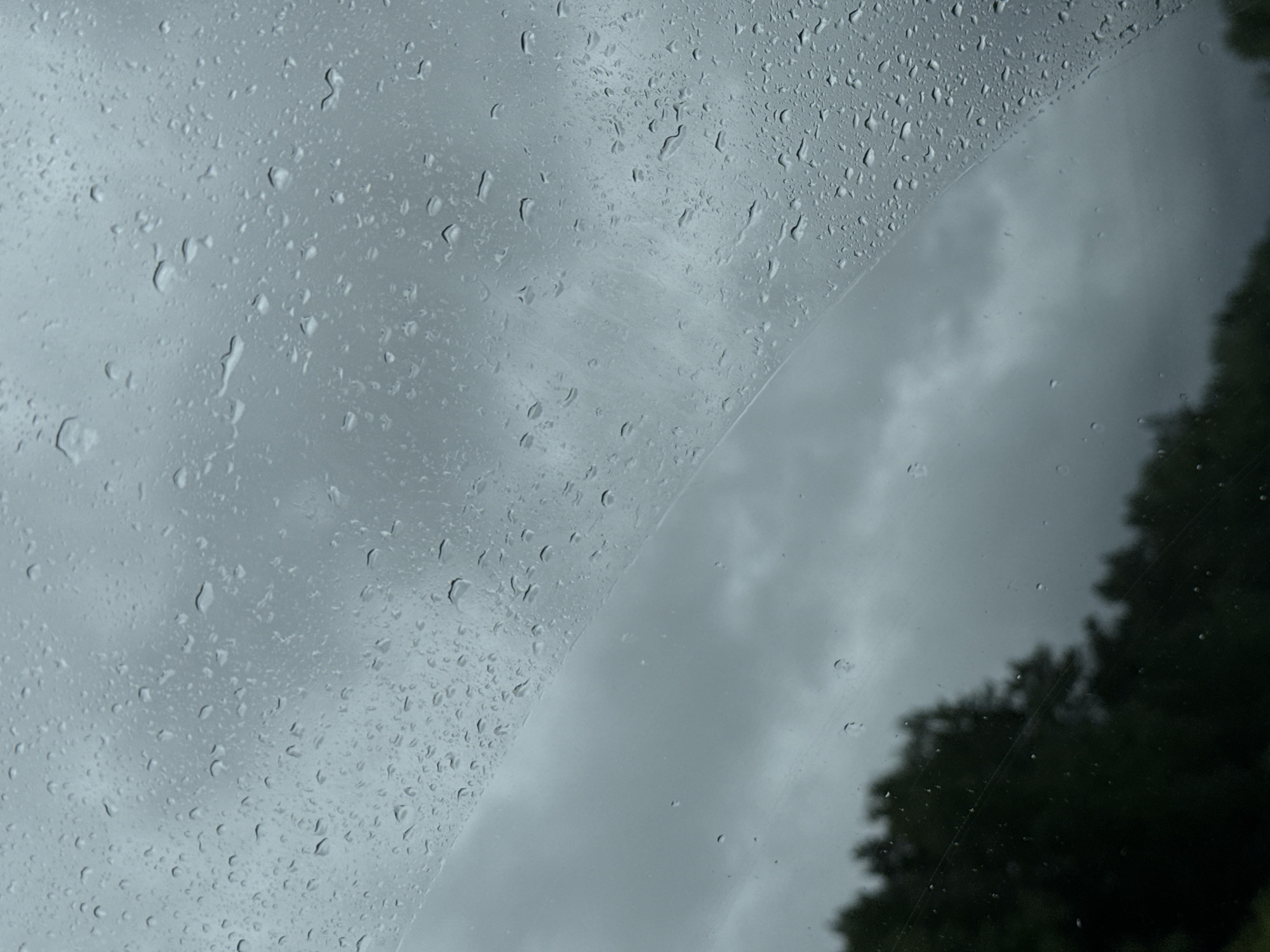 The image depicts a rain-soaked view from the interior of a vehicle, looking out through a front window or windshield, located in the city of Novyi, Russia. The glass surface in the immediate foreground is heavily covered with numerous raindrops of varying sizes, from small spheres to larger, coalesced streaks, distorting the exterior scene. A subtle diagonal line, possibly from a wiper blade or a structural element, traverses the middle of the frame, dividing areas of differing raindrop density. Beyond the glass, the sky is uniformly overcast with heavy, dark grey clouds, indicating active precipitation or recent rain. Along the lower third of the frame, a dark, indistinct band of blurred trees or dense foliage is visible against the grey sky. No people are discernible within the frame, nor are any specific actions or interactions taking place beyond the environmental conditions of rain and cloud cover.