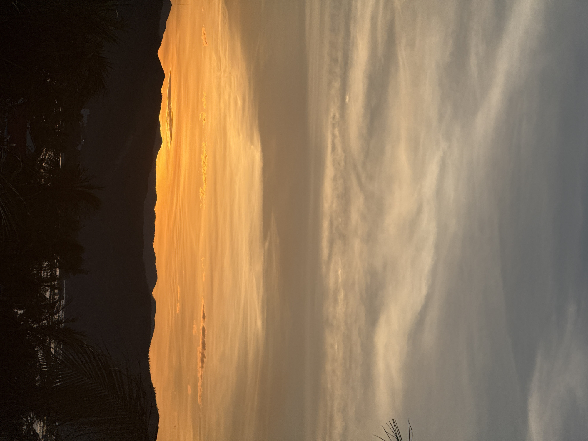 A vertical, high-angle shot captures a silhouette of a mountain range against a vibrant sunset over Song Cau, Vietnam. The sky transitions from a soft, hazy grey at the top to bright orange and yellow hues near the horizon, with wispy clouds streaking across. The dark, undulating silhouette of the mountains occupies the lower third of the frame, with hints of buildings and lush foliage in the foreground, also in silhouette. Palm fronds are visible in the bottom right and left corners, framing the scene. The overall mood is serene and picturesque, highlighting the natural beauty of the coastal landscape at dusk.