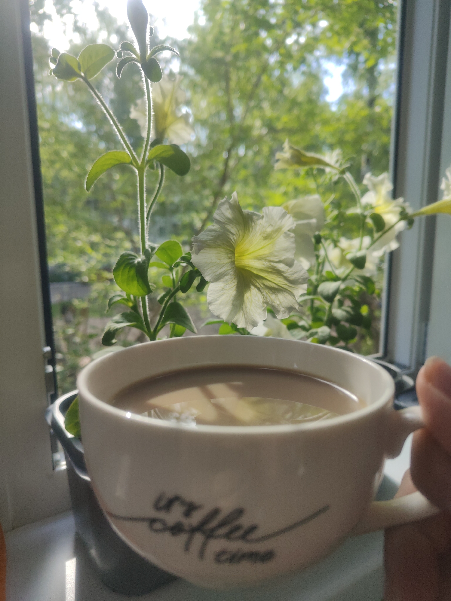 The image shows a cup of coffee with milk placed on a windowsill in what appears to be a room in Chaikovsky, Russia, based on the visual style of buildings visible through the window. The cup is white with the words "coffee time" written on it in script. A hand is holding the cup. A potted plant with light-colored flowers is also on the windowsill, obscuring the view outside. The background features a blurred view of green trees and possibly buildings through a window. The scene is brightly lit, suggesting it is daytime.