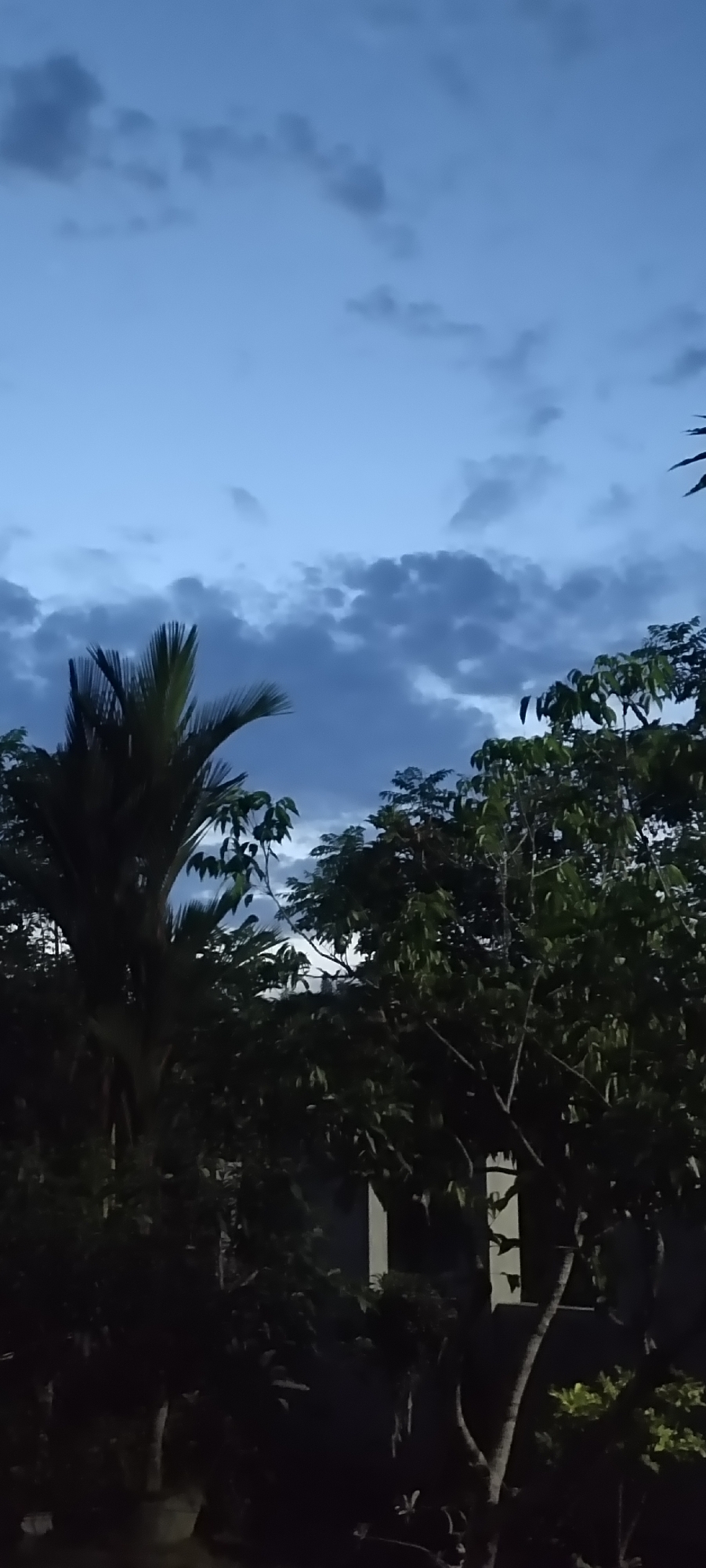 The image depicts a twilight scene with a cloudy, blue sky dominating the upper portion. Silhouetted against the sky are the tops of several trees, including a prominent palm tree on the left and denser foliage on the right. The lower part of the image is darker, showing the lower portions of trees and some indistinct structures, possibly buildings, with light visible in some windows or openings. The scene suggests an outdoor environment, likely residential or a park, at dusk or dawn in Lhokseumawe, Indonesia. There are no people or animals visible in the frame.