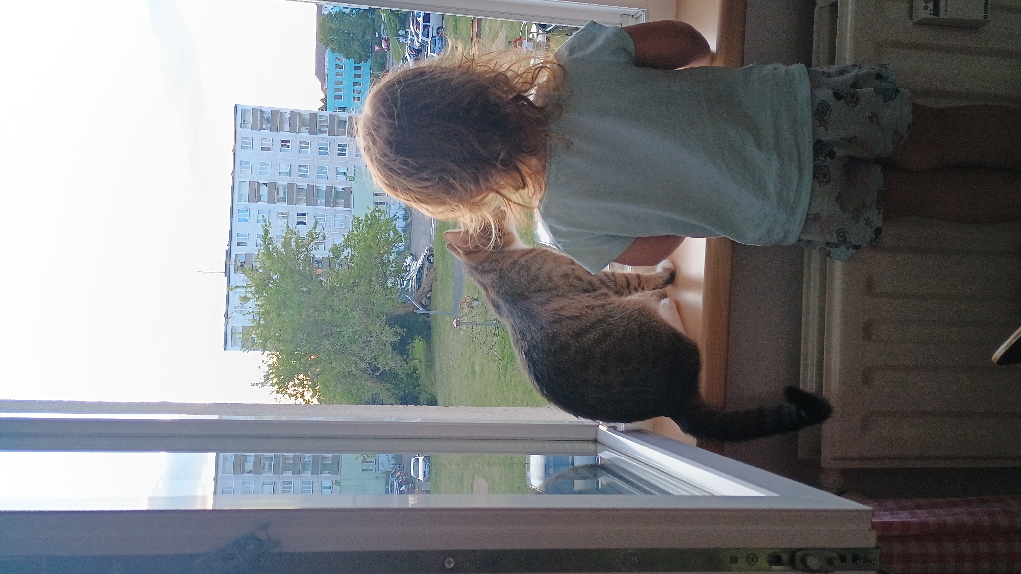 A girl with wavy, light brown hair stands facing away from the camera, looking out a window. She is wearing a pale blue t-shirt and patterned shorts with what appear to be cartoon characters on them. Next to her, also looking out the window, is a tabby cat with white markings on its chest and paws. The cat is seated on a wooden windowsill.
The window looks out onto a residential area with apartment buildings and parked cars visible in the background. There is a green lawn and trees in front of the buildings. The sky is overcast. The scene is likely from Sokolov, Czechia, given the architectural style of the buildings. The girl and the cat are positioned to observe the outside environment.