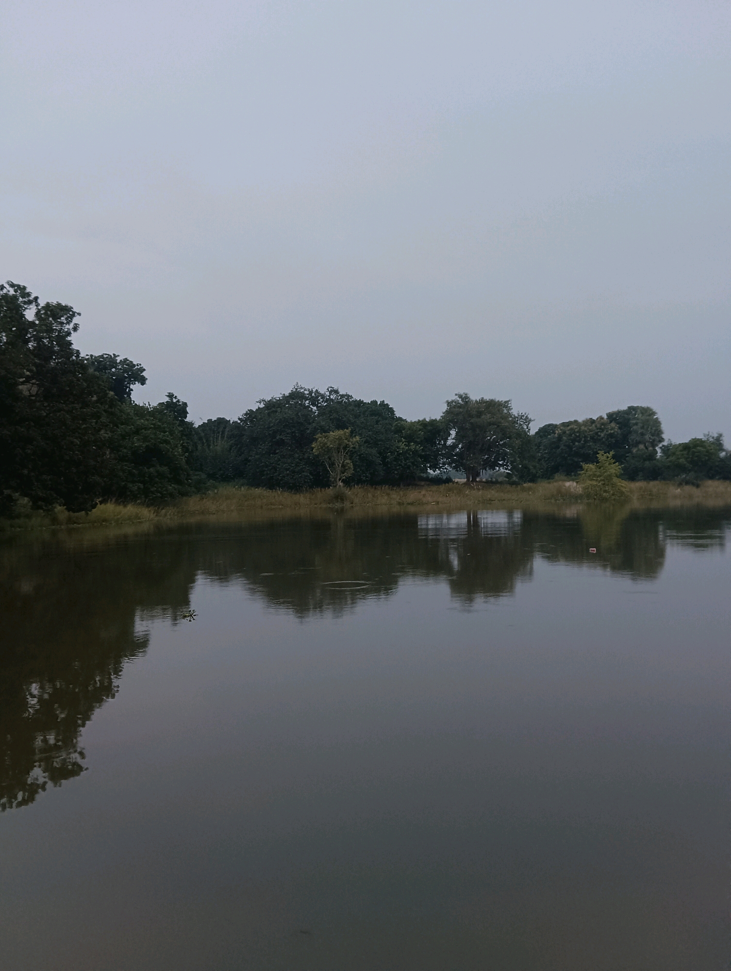 The image depicts a serene natural landscape with a body of water reflecting a line of trees and an overcast sky. The water is dark and still, with subtle ripples creating distorted reflections of the foliage on the far bank. The vegetation consists of a variety of trees, ranging from dense, dark green to lighter, sparser growth, with some dry grass visible along the water's edge. The sky is a uniform light gray, suggesting a cloudy day or dawn/dusk. There are no visible people or structures. The scene is a still, quiet representation of nature, likely a pond or lake in a rural or semi-rural area. Given the context of the city of Tilkar, India, this scene is consistent with a natural water body within or on the outskirts of the city.