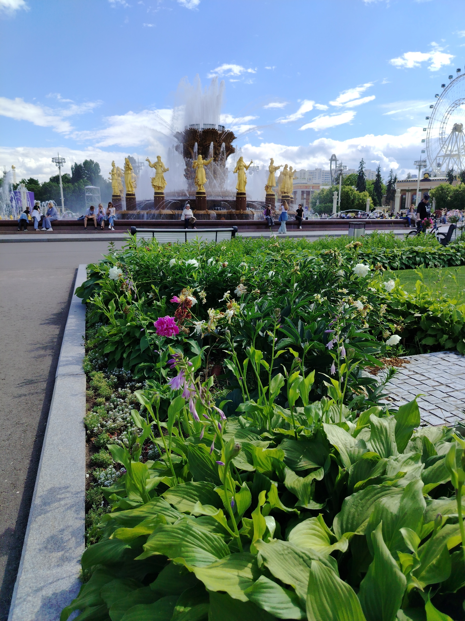This media file captures a sunny day scene in Moscow, Russia, likely at an outdoor park or exhibition ground. The central focus is a grand fountain with multiple tiers, adorned with numerous golden statues of women. Water cascades dynamically from the fountain, creating a misty spray.
In the foreground, lush green plants and flowers fill a garden bed, adding a vibrant splash of nature to the urban landscape. Among the greenery, a bright pink flower stands out, alongside delicate purple blooms. A paved walkway borders the garden.
In the background, several people are visible, some sitting on the edge of the fountain's basin, while others stand or walk nearby. Beyond the fountain, a Ferris wheel is prominently featured, a classic amusement park attraction. The sky is a brilliant blue, dotted with fluffy white clouds, indicating fair weather and suggesting it is daytime. The overall atmosphere appears relaxed and cheerful, with people enjoying a pleasant outing.