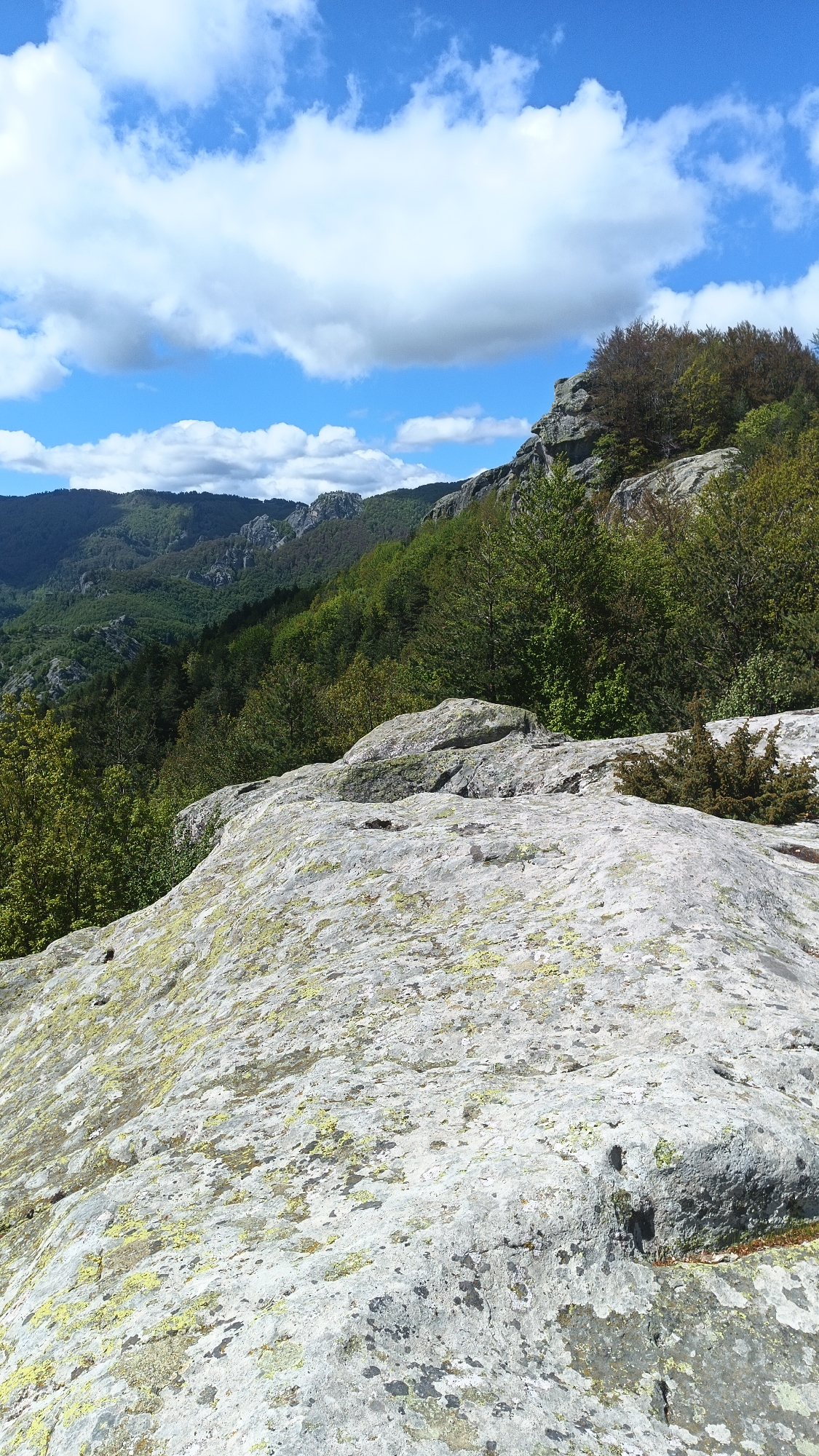The image shows a natural landscape near Sini Vrah, Bulgaria, from an elevated viewpoint. The foreground is dominated by a large, light-gray, lichen-covered rock formation. Patches of yellow and black indicate varying lichen types and weathering. Behind the rocks, there is a mix of deciduous and evergreen trees extending towards the background. The landscape transitions into hills and ridges covered in dense vegetation. The sky is blue with scattered white cumulus clouds. No people are visible.