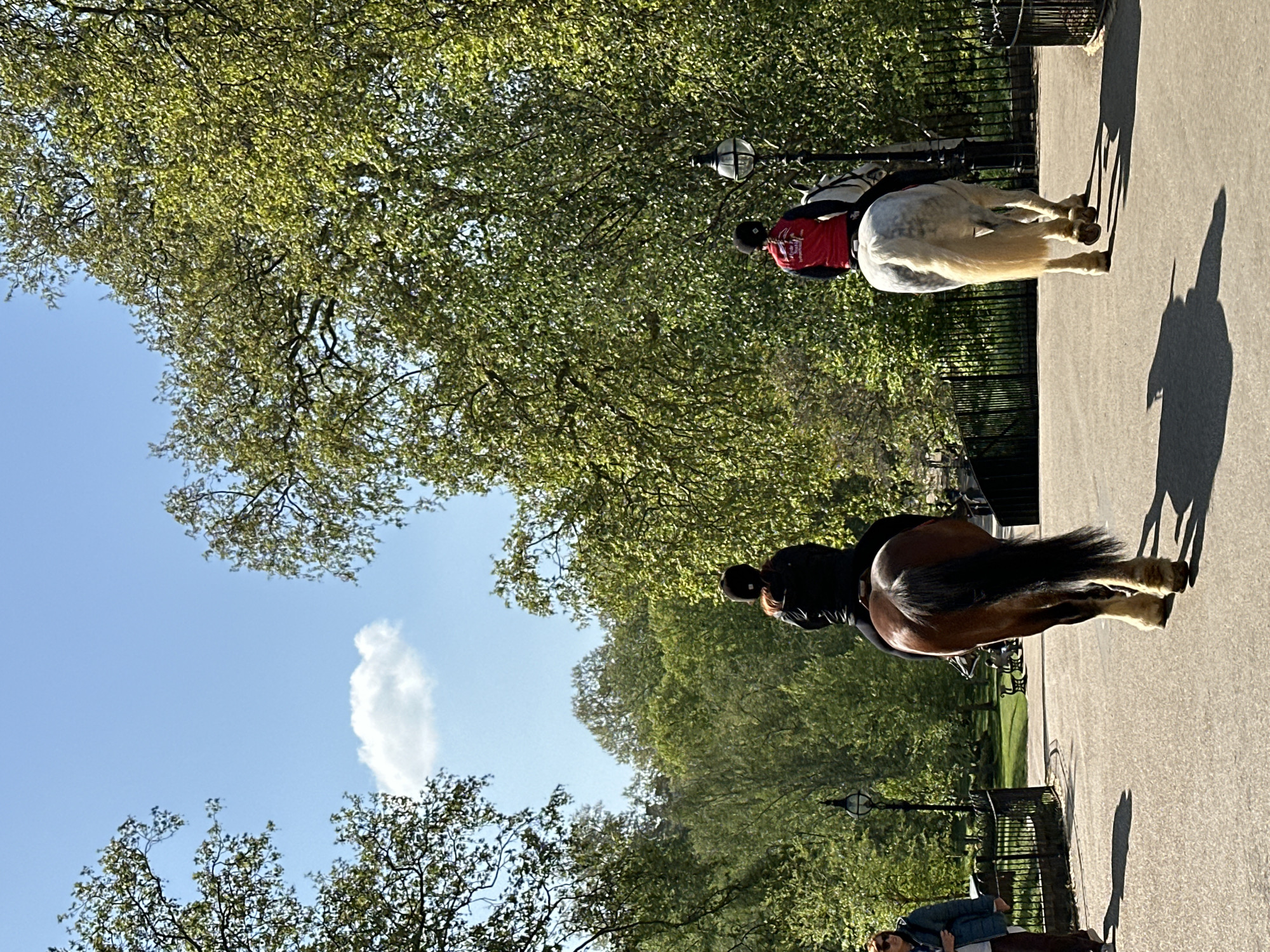 The image shows two mounted riders on a path in a park, likely in London, United Kingdom. The rider nearest the camera is on a brown horse, while the other rider is on a white horse wearing a red shirt. The park has mature trees, a blue sky with a small cloud. There are lampposts and a black fence separating the path from the park. A person is walking into frame on the bottom right.