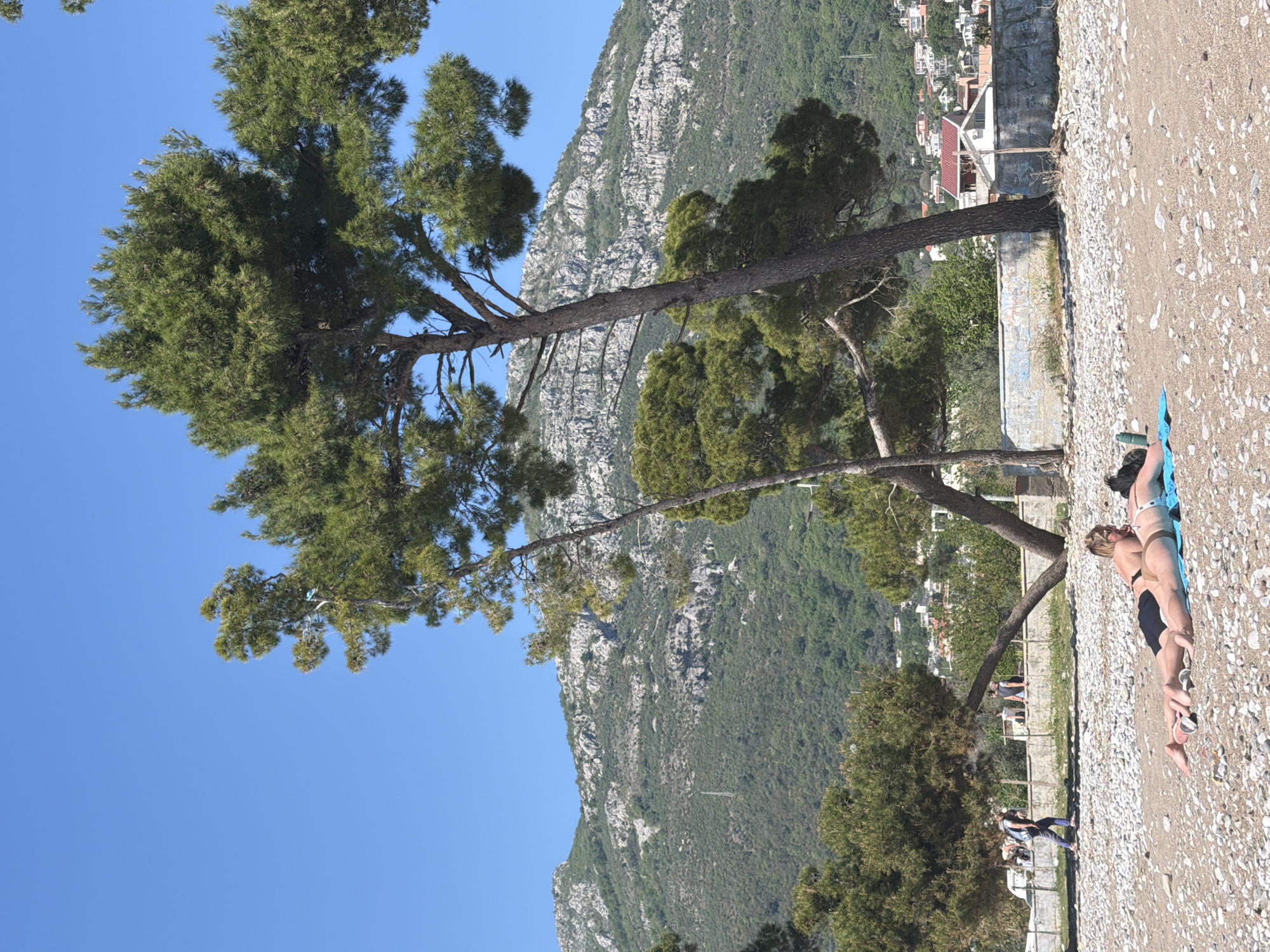 The image captures a beach scene in Bar, Montenegro, featuring a tree in the foreground. The tree is full of green foliage and stands tall. Behind the tree, a mountain range rises. The beach is composed of light-colored pebbles and shells.
Two individuals are sunbathing on a blue towel on the beach. Other people are standing near a low wall. Houses and buildings are visible in the background. The sky is clear and blue.