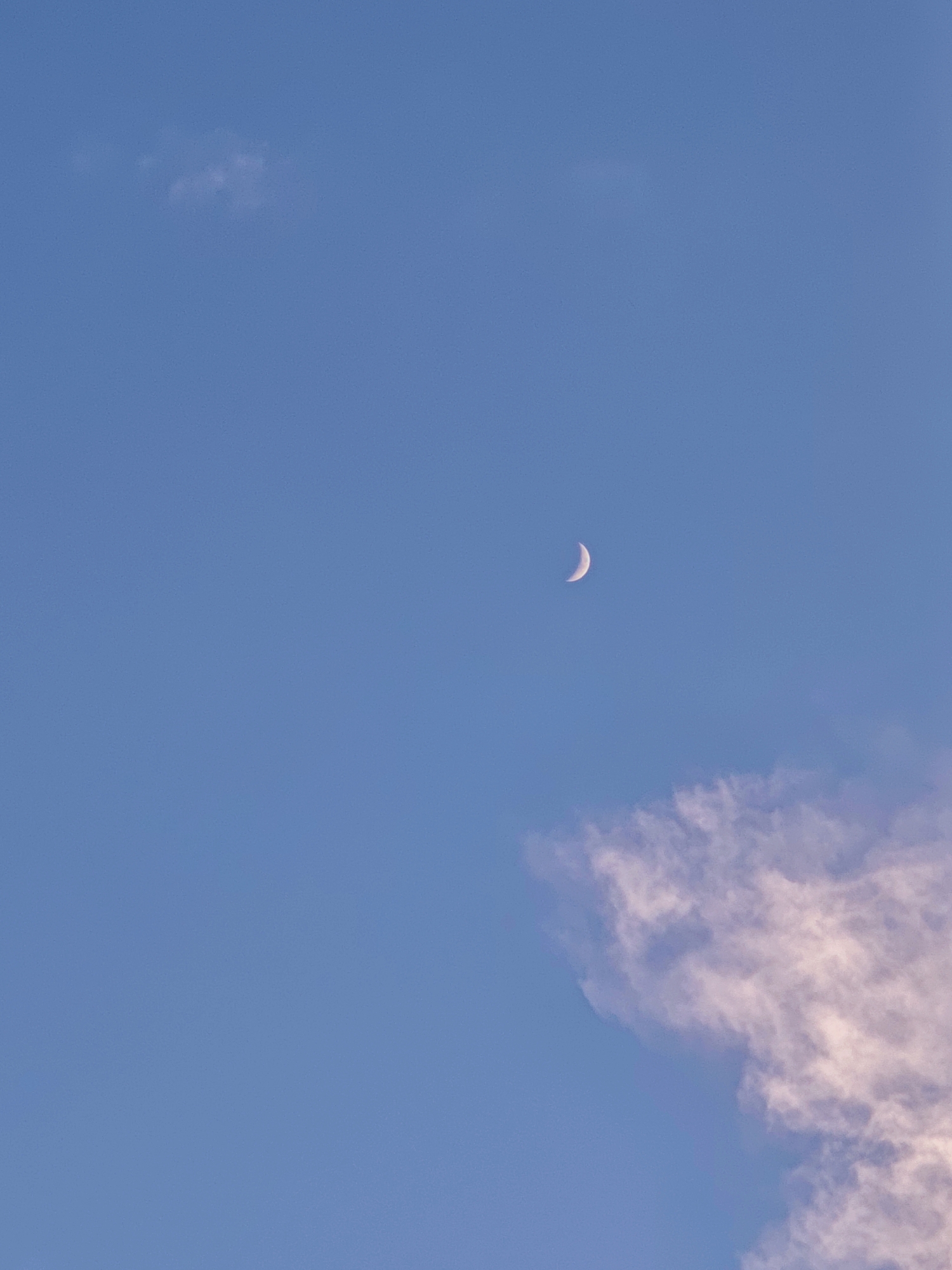 The image is a clear, daytime shot of a blue sky with a crescent moon and scattered clouds. There is a faint, wispy cloud in the upper left quadrant. In the lower right quadrant, there is a larger, more substantial cloud formation with pinkish hues, suggesting it may be illuminated by the sun at an angle. The crescent moon is positioned in the upper right quadrant of the sky, small and delicate against the vast expanse of blue. The scene appears to be an outdoor view, likely from a high vantage point given the clear visibility of the sky and celestial bodies. There are no discernible landmarks or architectural features to suggest a specific location within Tbilisi, Georgia, or anywhere else. The image is focused on the sky and its elements.