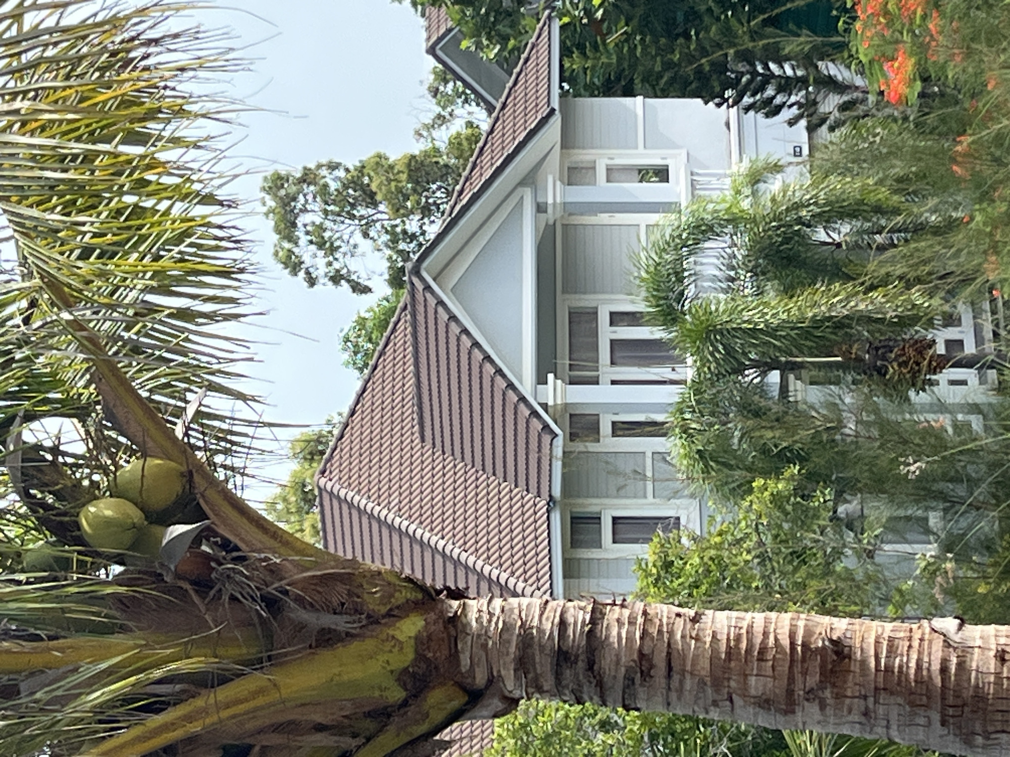 The image depicts a residential building in Phu Thuy Ward, Vietnam, partially obscured by lush tropical foliage. In the foreground, a large palm tree trunk with a rough, textured bark dominates the left side of the frame. Several green coconuts are visible among the palm fronds, suggesting a tropical climate.
The building itself is a two-story structure with a light blue siding and a brown tiled roof. The architecture features white trim around the windows and doors, and decorative white columns support a porch area. The windows appear to be large, allowing natural light into the interior.
Surrounding the house is dense vegetation, including more palm trees, various green bushes, and flowering plants with bright orange blossoms visible in the lower right corner. The background consists of more trees and a bright, overcast sky. The scene suggests a tranquil, possibly humid environment characteristic of a tropical coastal area. There are no people visible in the image. The focus is on the natural elements and the residential structure.