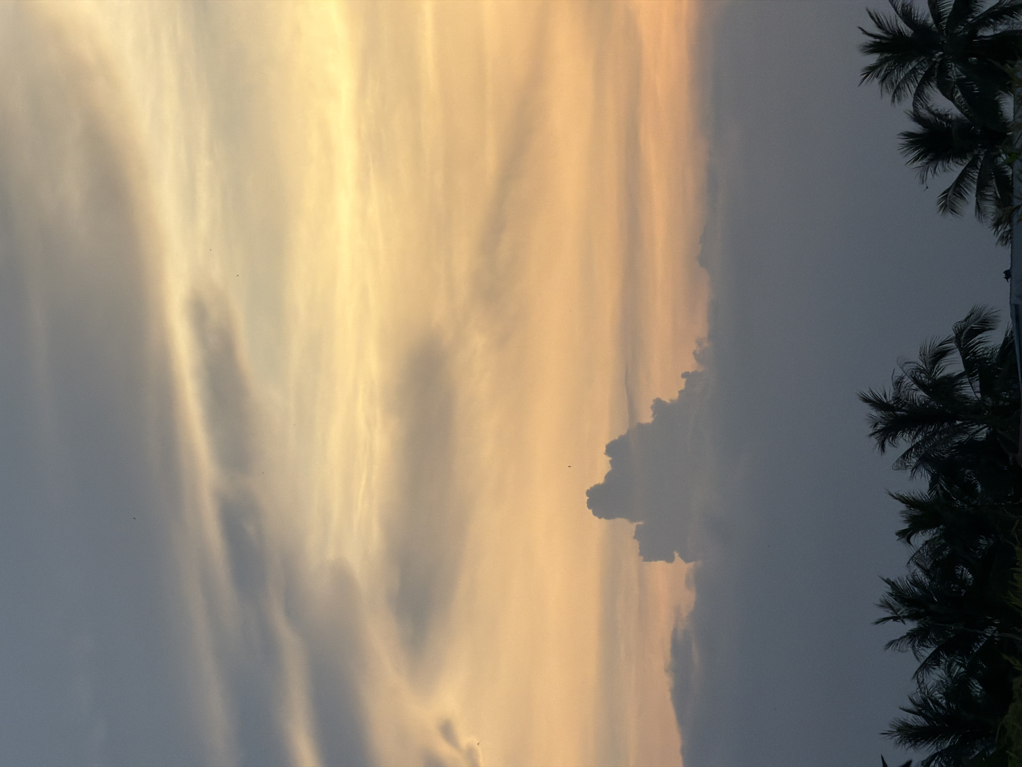 A nighttime sky in Nam Nha Trang Ward, Vietnam, is mostly cloudy. The lower left quadrant shows darker, gray clouds that fade to a lighter golden-yellow color toward the center and upper quadrants. Silhouetted palm trees are visible along the right edge of the frame.