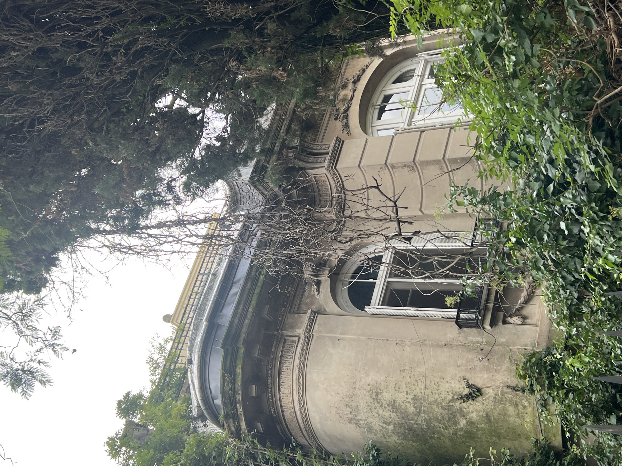 A low-angle shot reveals the facade of a vintage building in Buenos Aires, Argentina, partially obscured by foliage. The building features a rounded corner with two visible arched windows. One window is on the upper level, and one is on the mid-level. The building's exterior is finished in a muted, light color. The structure exhibits aging, indicated by darkened patches and staining on the facade. Trees and leafy green plants fill the foreground and partially frame the building, while bare branches crawl across the facade between the windows. A dark-colored metal object is affixed beneath the mid-level window. The sky appears overcast or is not directly visible. The building's architectural details are visible despite the vegetation.